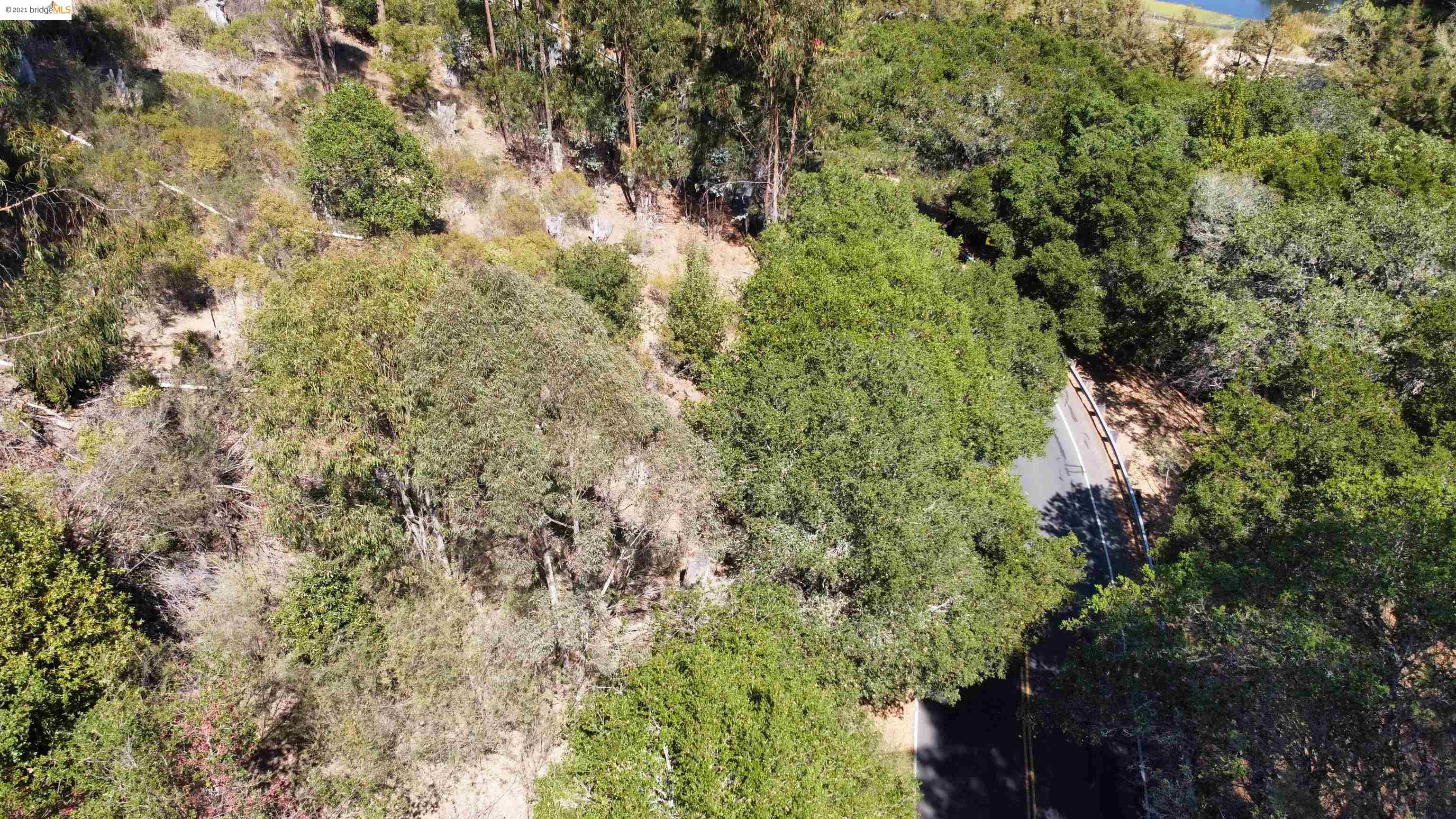 0 Wildcat Canyon Rd, BERKELEY, California 94708, ,Lots And Land,For Sale,Wildcat Canyon Rd,40967722