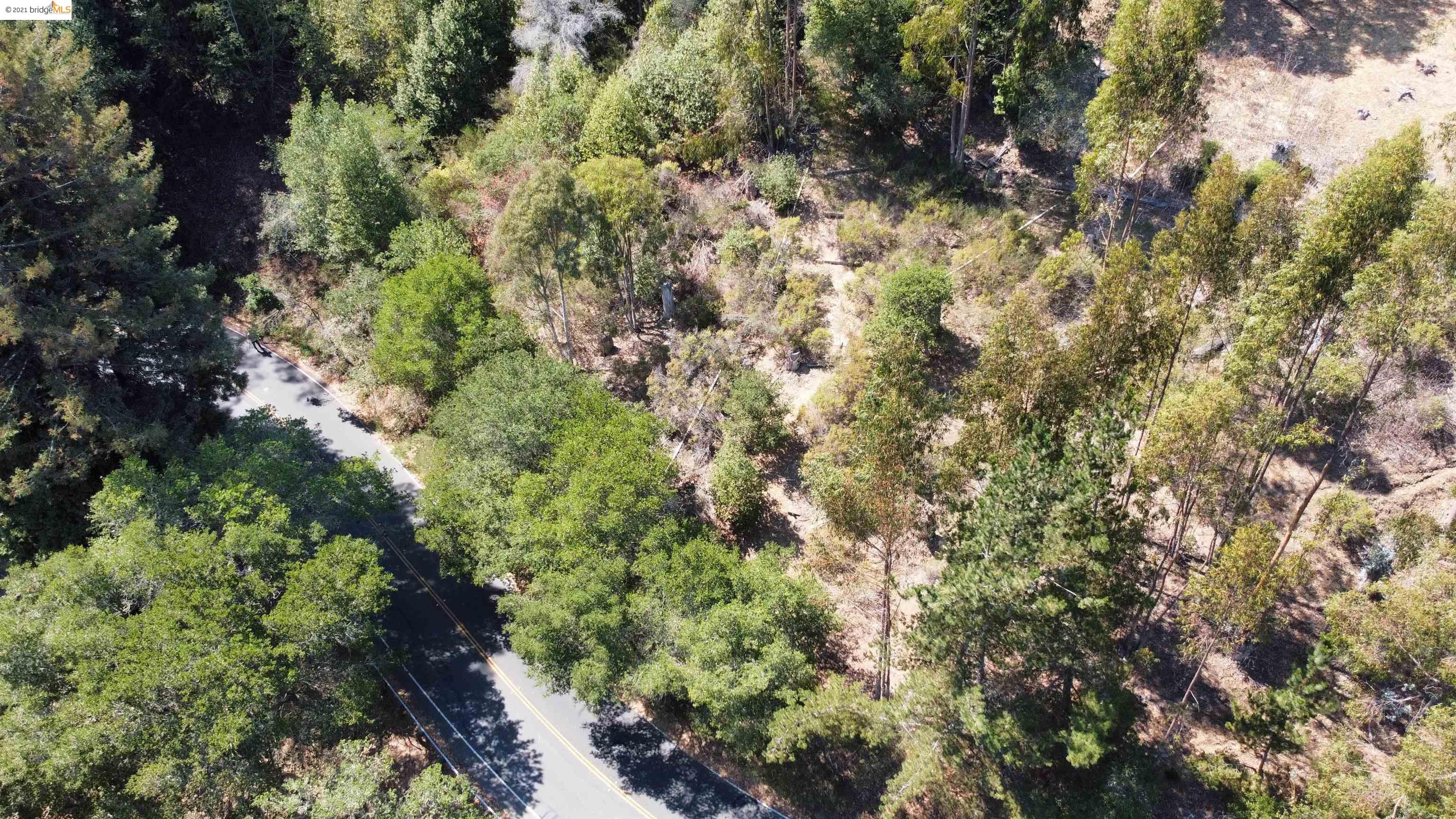 0 Wildcat Canyon Rd, BERKELEY, California 94708, ,Lots And Land,For Sale,Wildcat Canyon Rd,40967722
