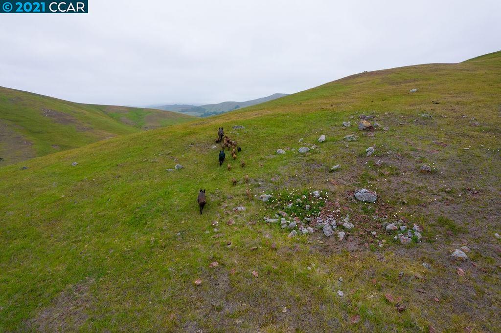0 Harmony Valley Road, HARMONY, California 93435, ,Lots And Land,For Sale,Harmony Valley Road,40967728
