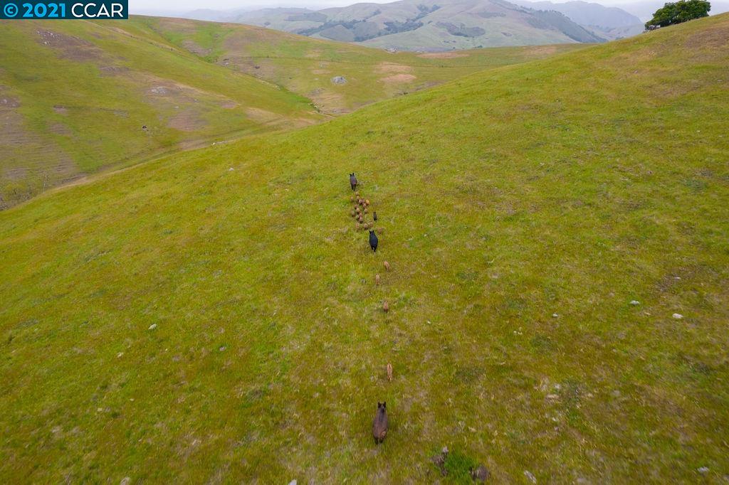0 Harmony Valley Road, HARMONY, California 93435, ,Lots And Land,For Sale,Harmony Valley Road,40967728