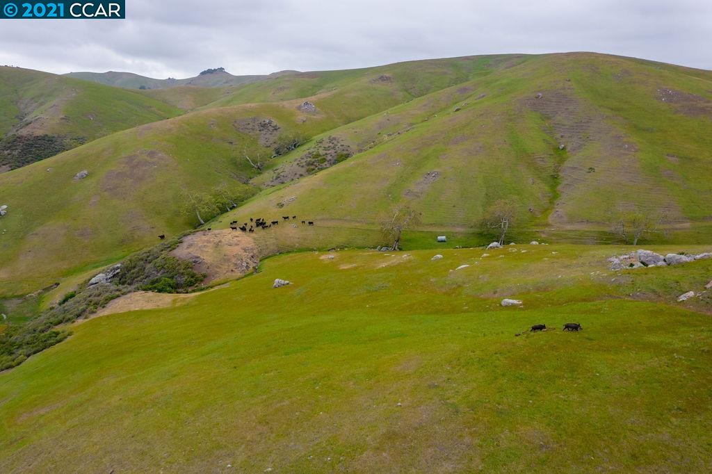 0 Harmony Valley Road, HARMONY, California 93435, ,Lots And Land,For Sale,Harmony Valley Road,40967728