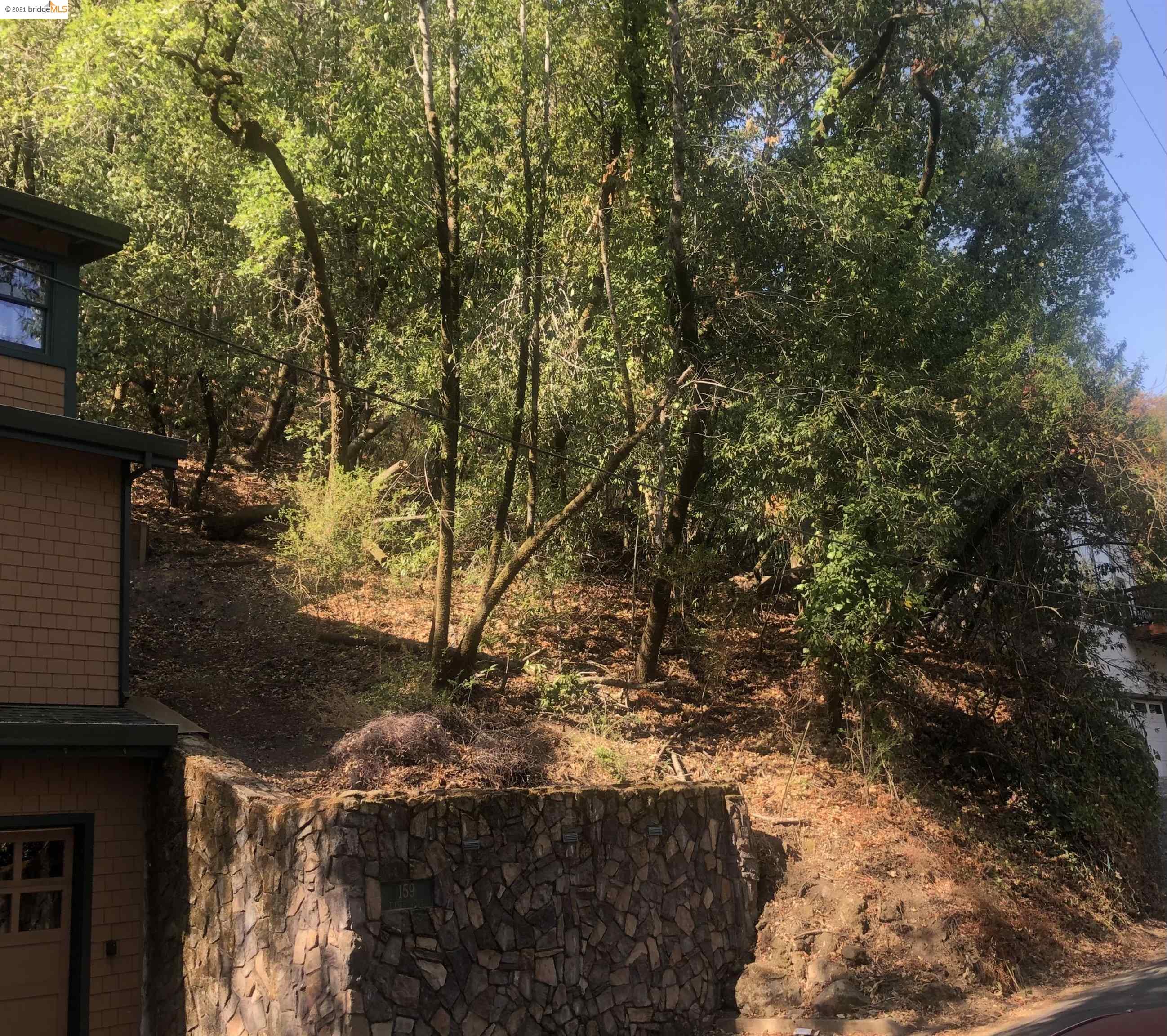 161 Forrest Ave., FAIRFAX, California 94930, ,Lots And Land,For Sale,Forrest Ave.,40967736