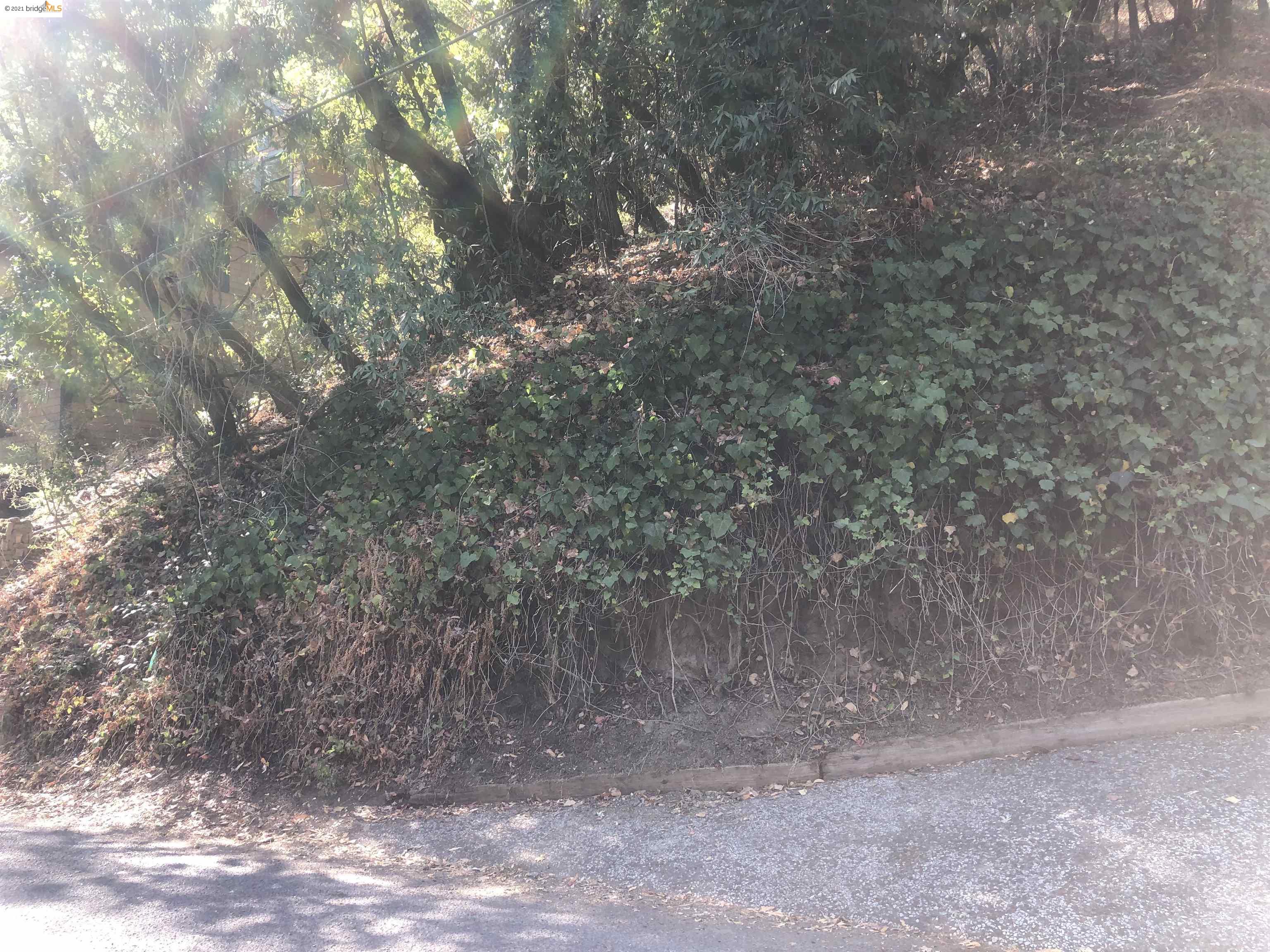 161 Forrest Ave., FAIRFAX, California 94930, ,Lots And Land,For Sale,Forrest Ave.,40967736