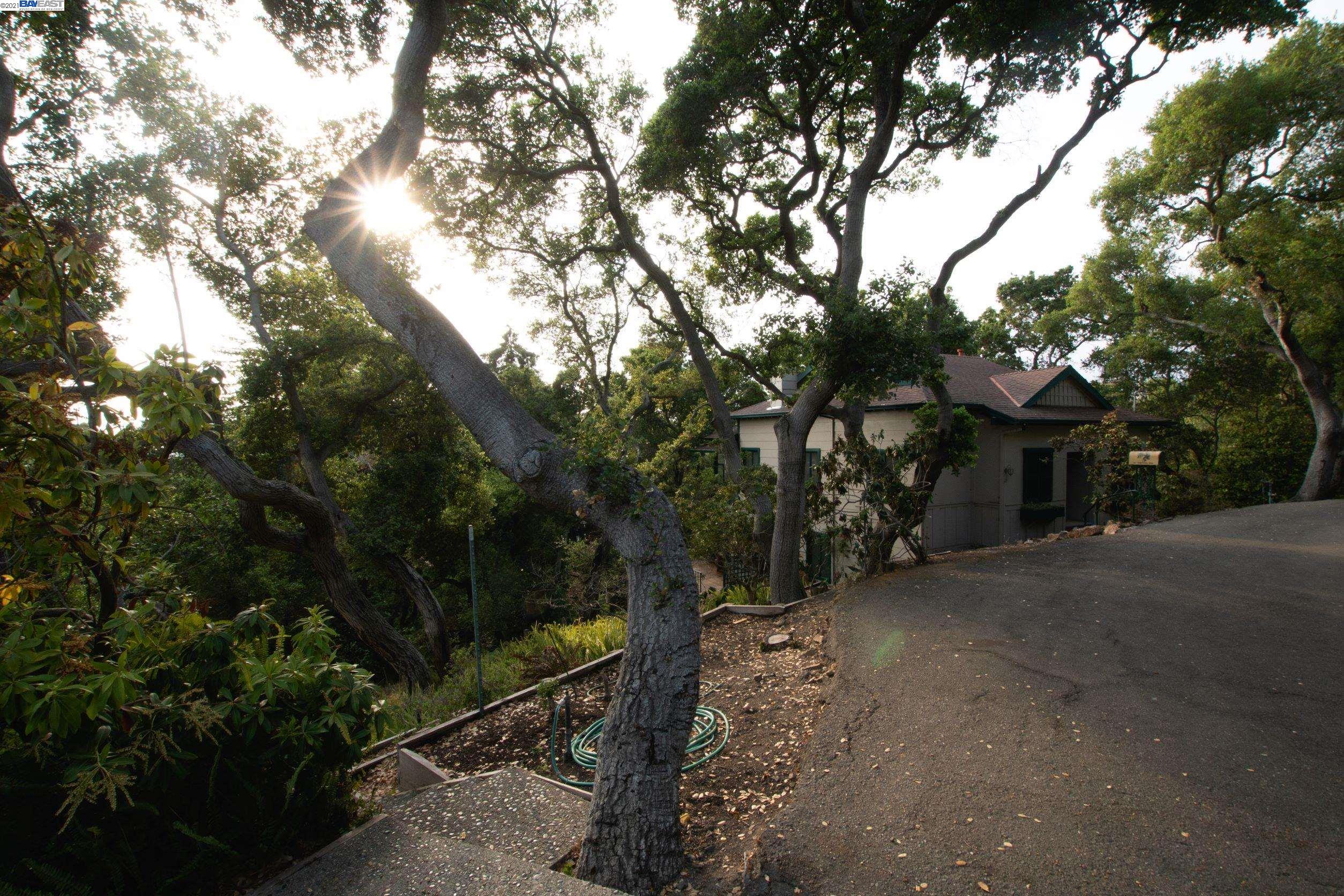 Wistaria Way, PIEDMONT, California 94611, ,Lots And Land,For Sale,Wistaria Way,40968422