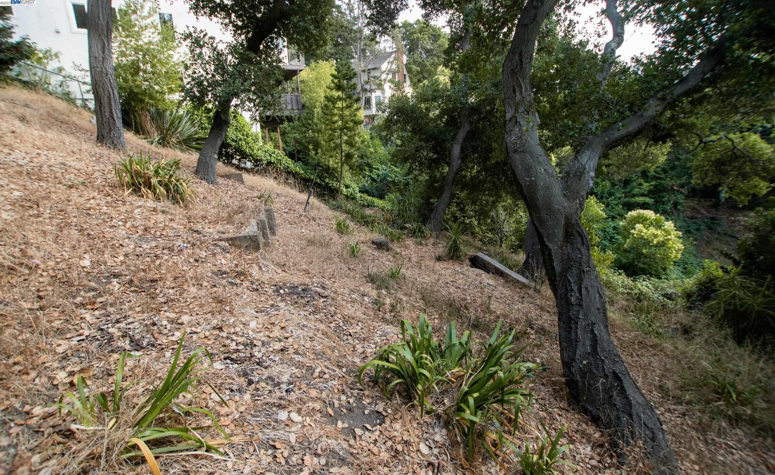 Wistaria Way, PIEDMONT, California 94611, ,Lots And Land,For Sale,Wistaria Way,40968422