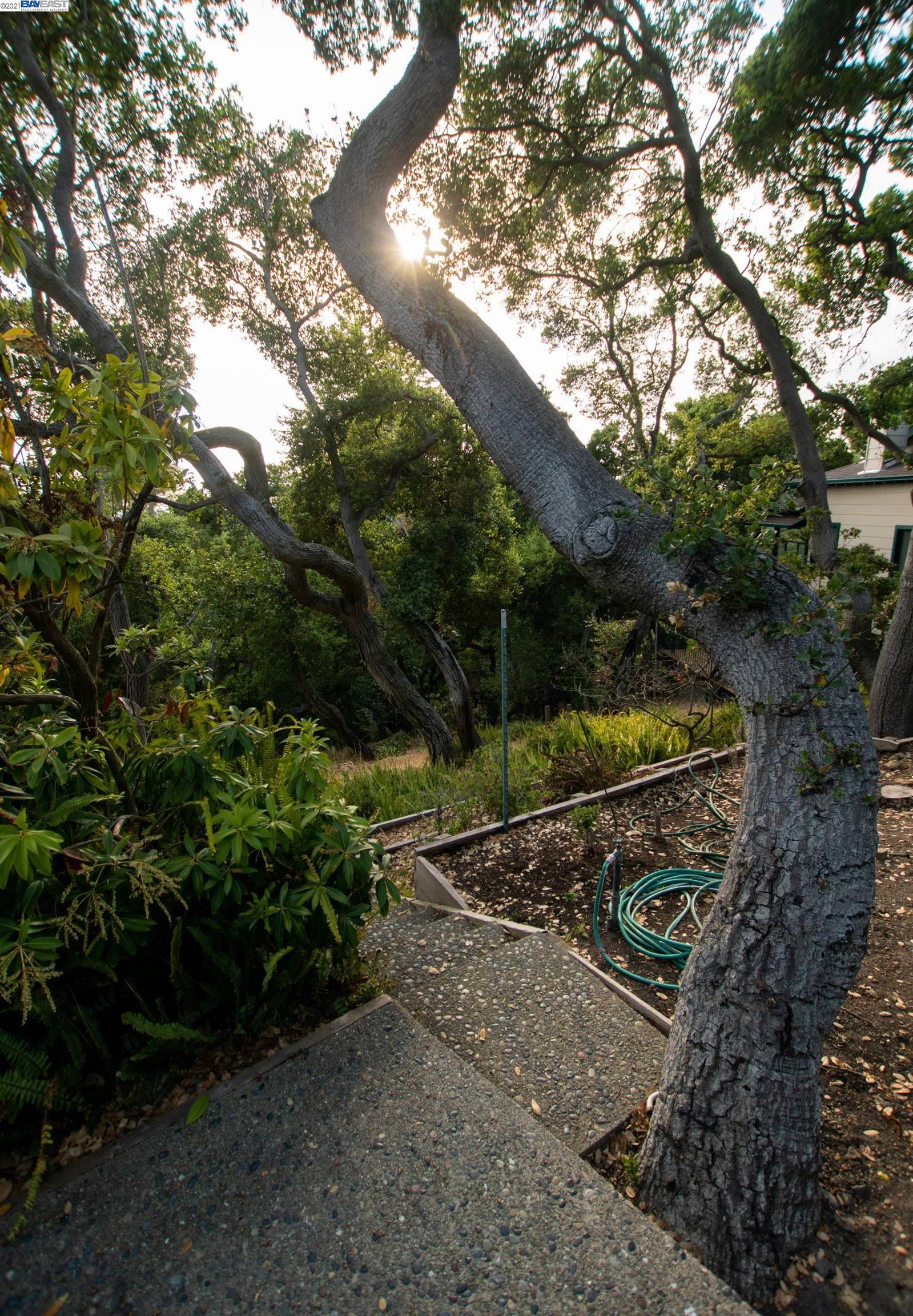 Wistaria Way, PIEDMONT, California 94611, ,Lots And Land,For Sale,Wistaria Way,40968422