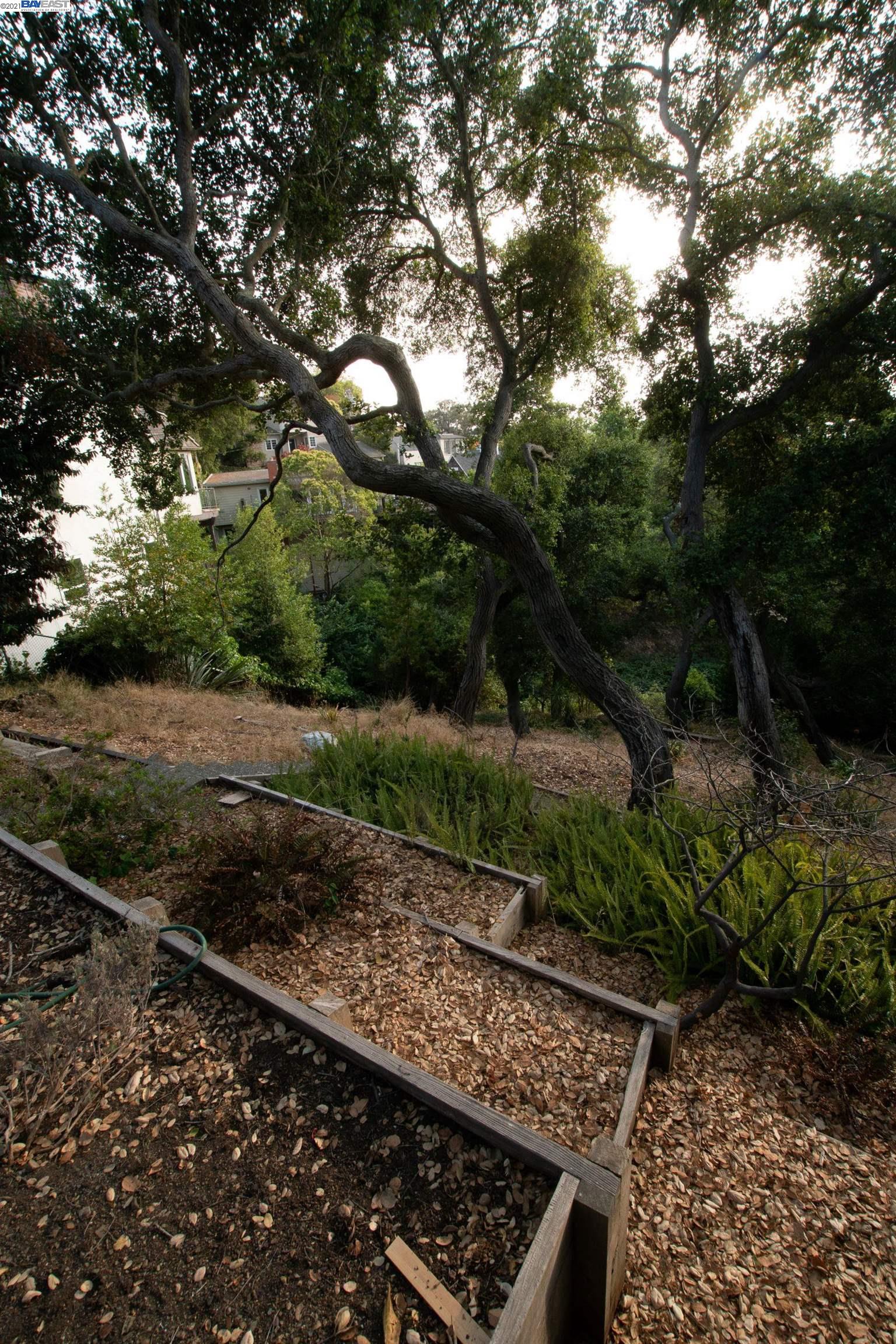 Wistaria Way, PIEDMONT, California 94611, ,Lots And Land,For Sale,Wistaria Way,40968422