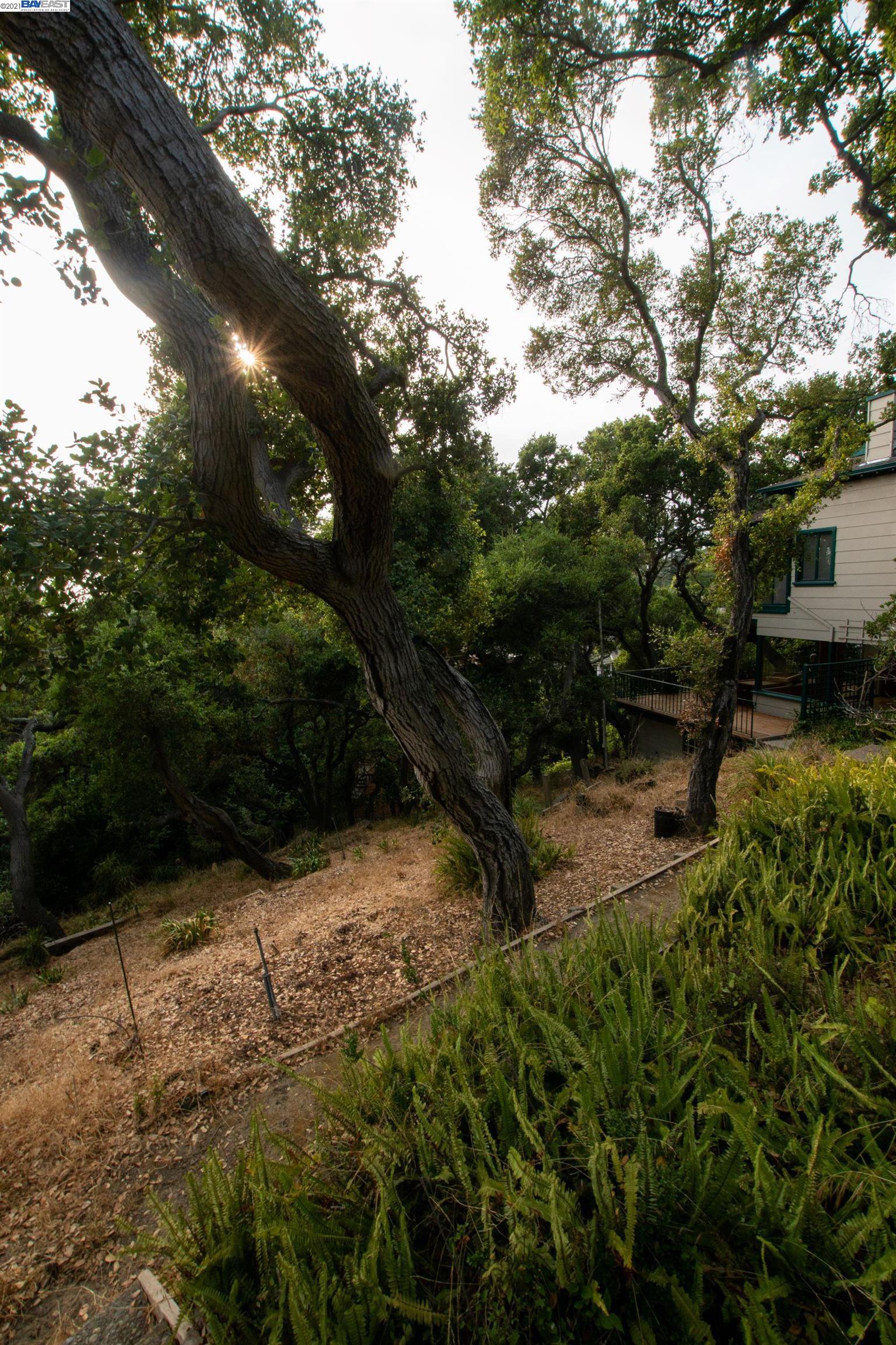 Wistaria Way, PIEDMONT, California 94611, ,Lots And Land,For Sale,Wistaria Way,40968422