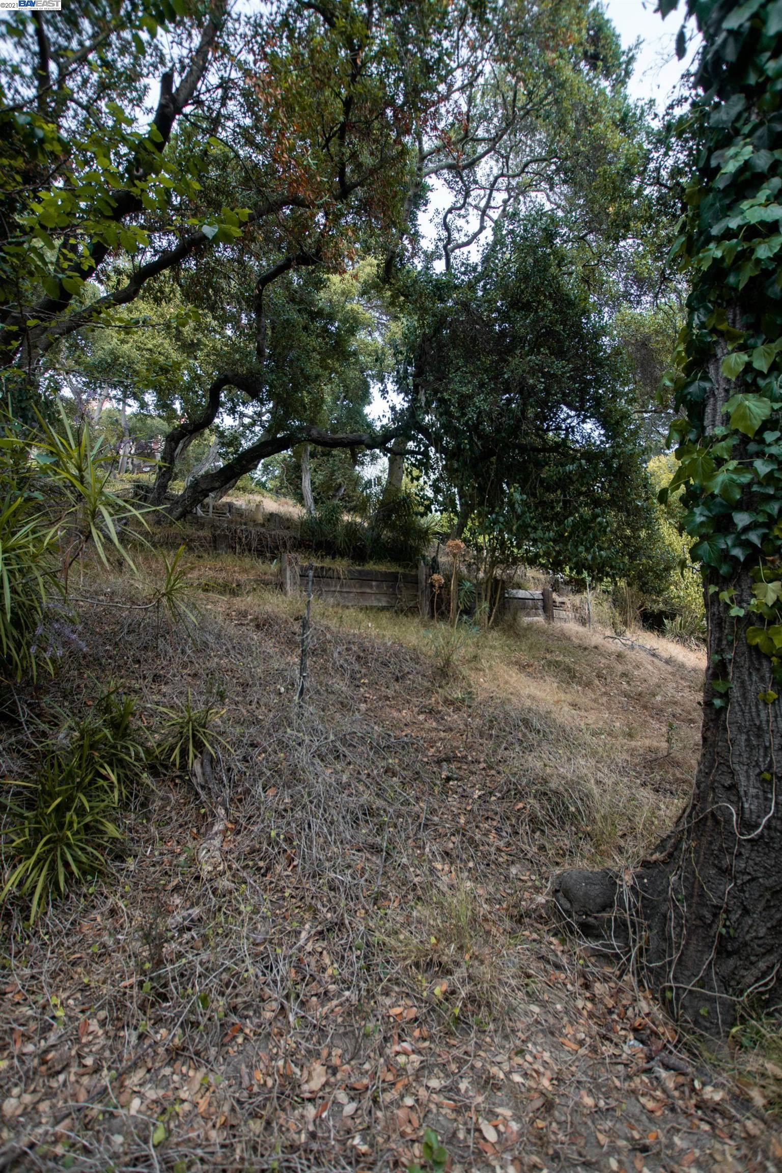 Wistaria Way, PIEDMONT, California 94611, ,Lots And Land,For Sale,Wistaria Way,40968422
