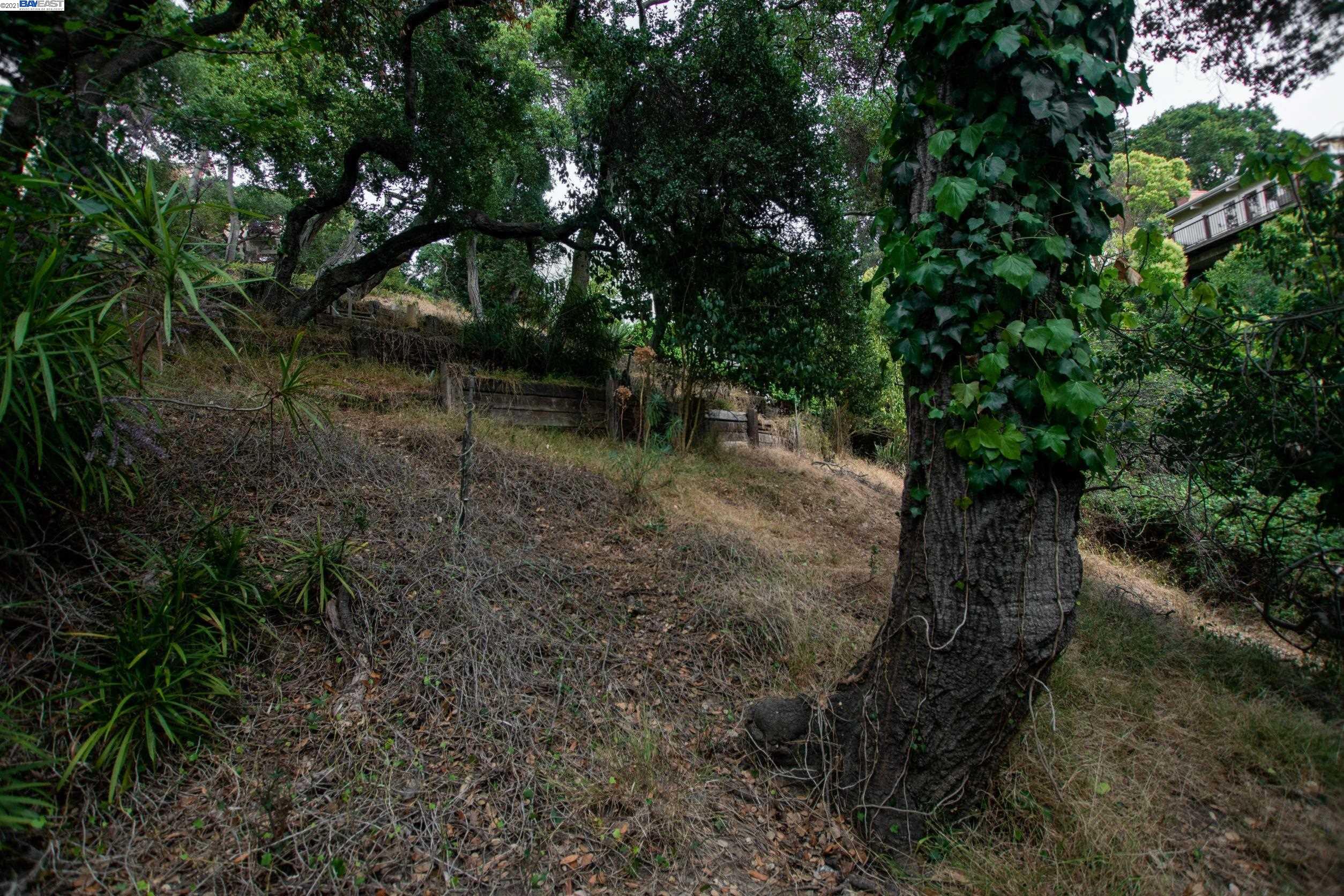 Wistaria Way, PIEDMONT, California 94611, ,Lots And Land,For Sale,Wistaria Way,40968422