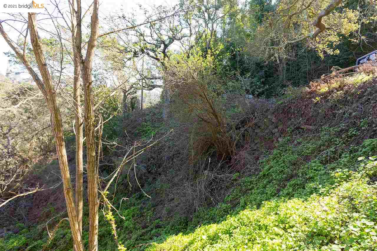 0 Florence Ave, OAKLAND, California 94618, ,Lots And Land,For Sale,Florence Ave,40968958