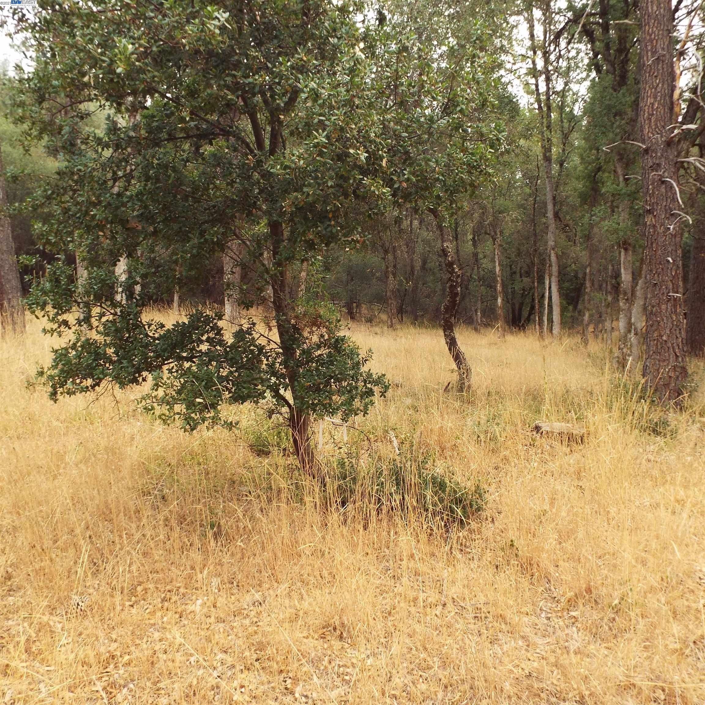 19750 Tiger Tail Road, GRASS VALLEY, California 95949, ,Lots And Land,For Sale,Tiger Tail Road,40969335
