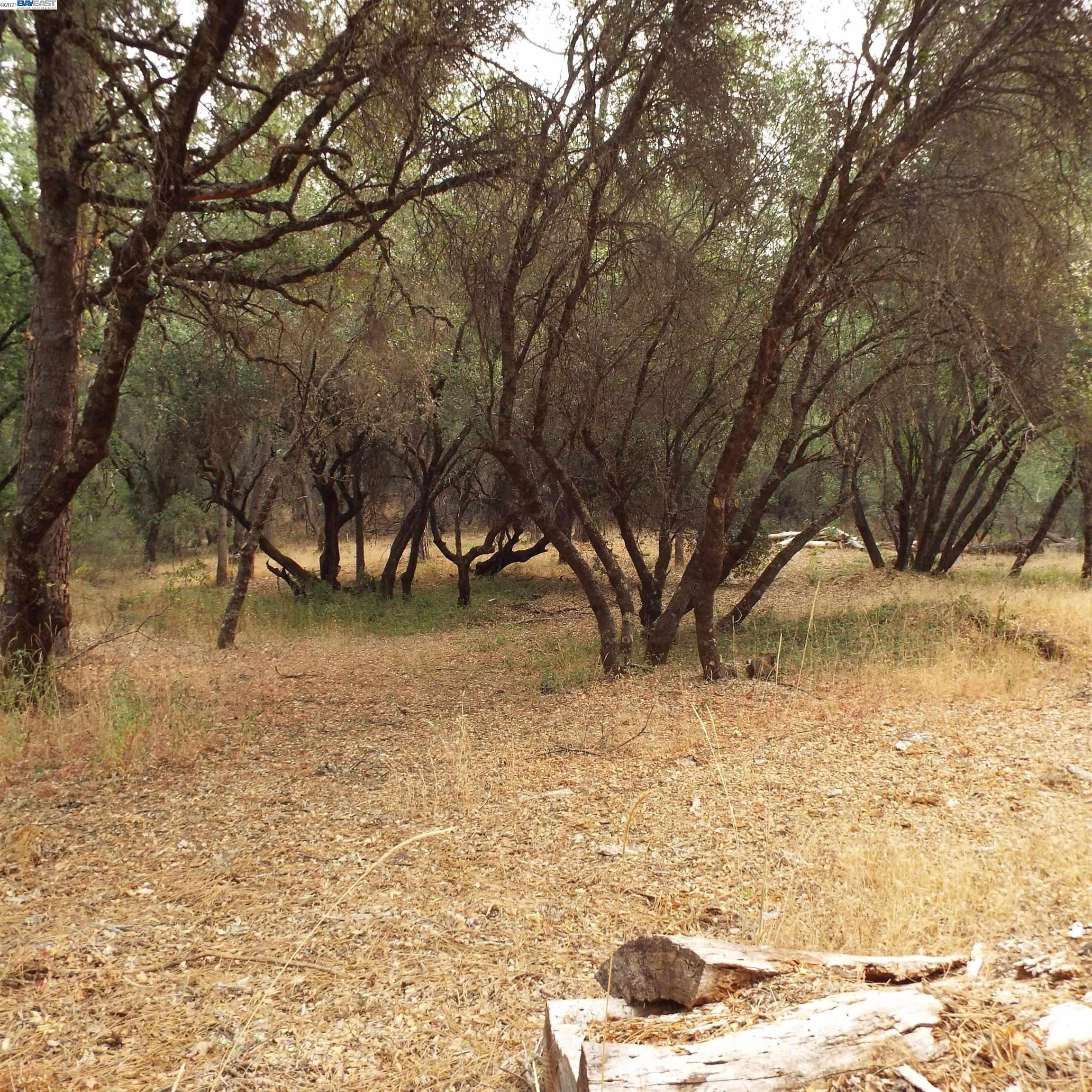 19750 Tiger Tail Road, GRASS VALLEY, California 95949, ,Lots And Land,For Sale,Tiger Tail Road,40969335