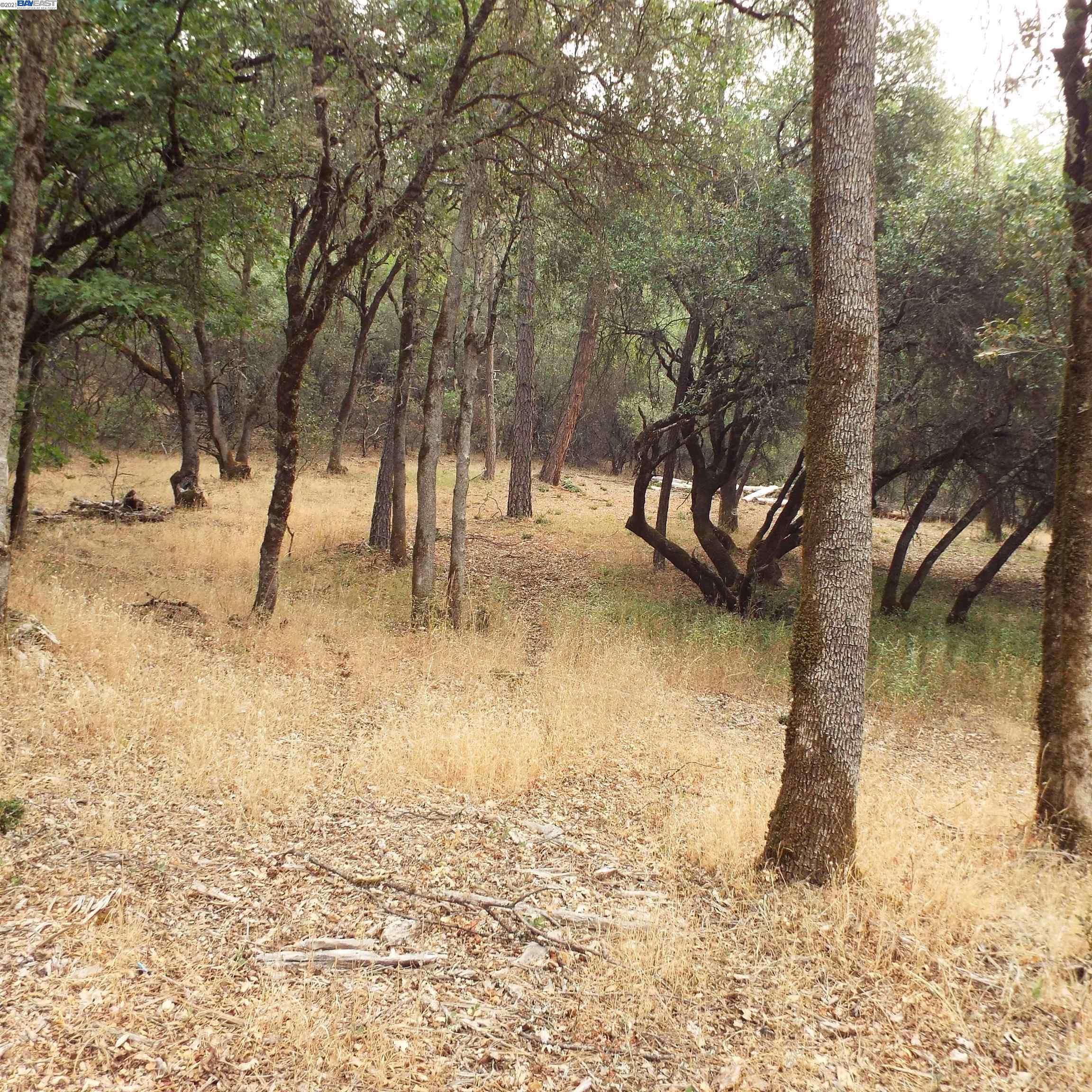 19750 Tiger Tail Road, GRASS VALLEY, California 95949, ,Lots And Land,For Sale,Tiger Tail Road,40969335