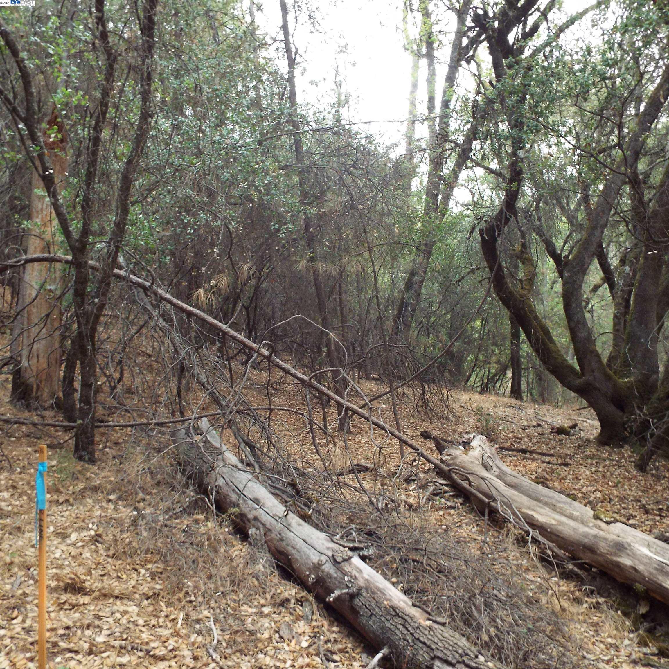19750 Tiger Tail Road, GRASS VALLEY, California 95949, ,Lots And Land,For Sale,Tiger Tail Road,40969335