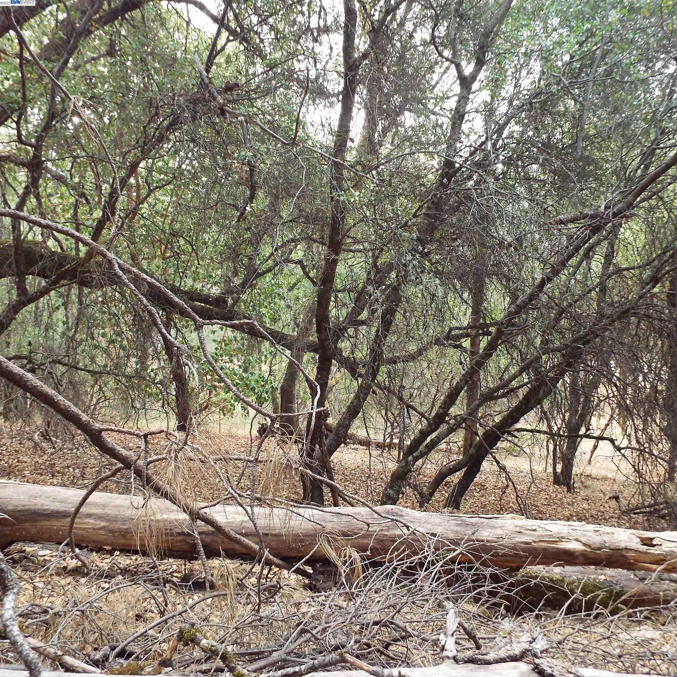 19750 Tiger Tail Road, GRASS VALLEY, California 95949, ,Lots And Land,For Sale,Tiger Tail Road,40969335