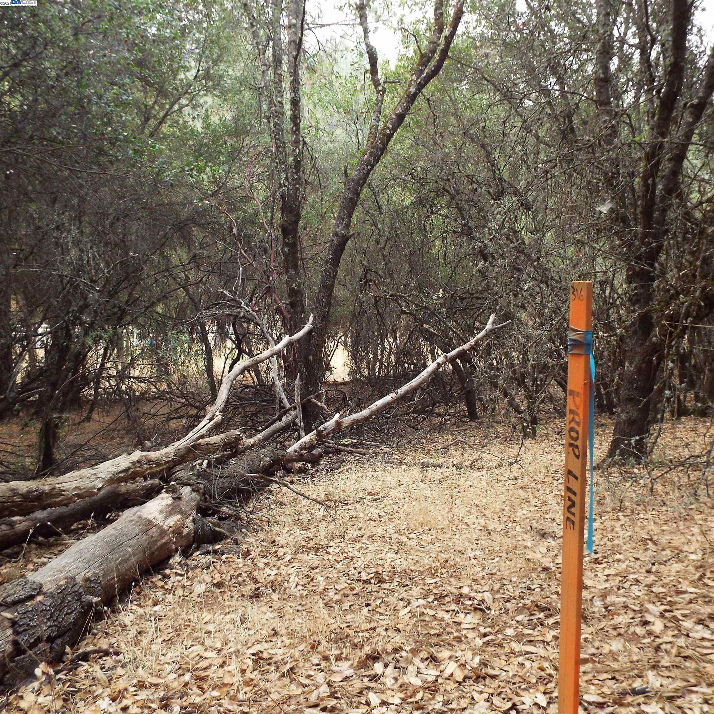 19750 Tiger Tail Road, GRASS VALLEY, California 95949, ,Lots And Land,For Sale,Tiger Tail Road,40969335