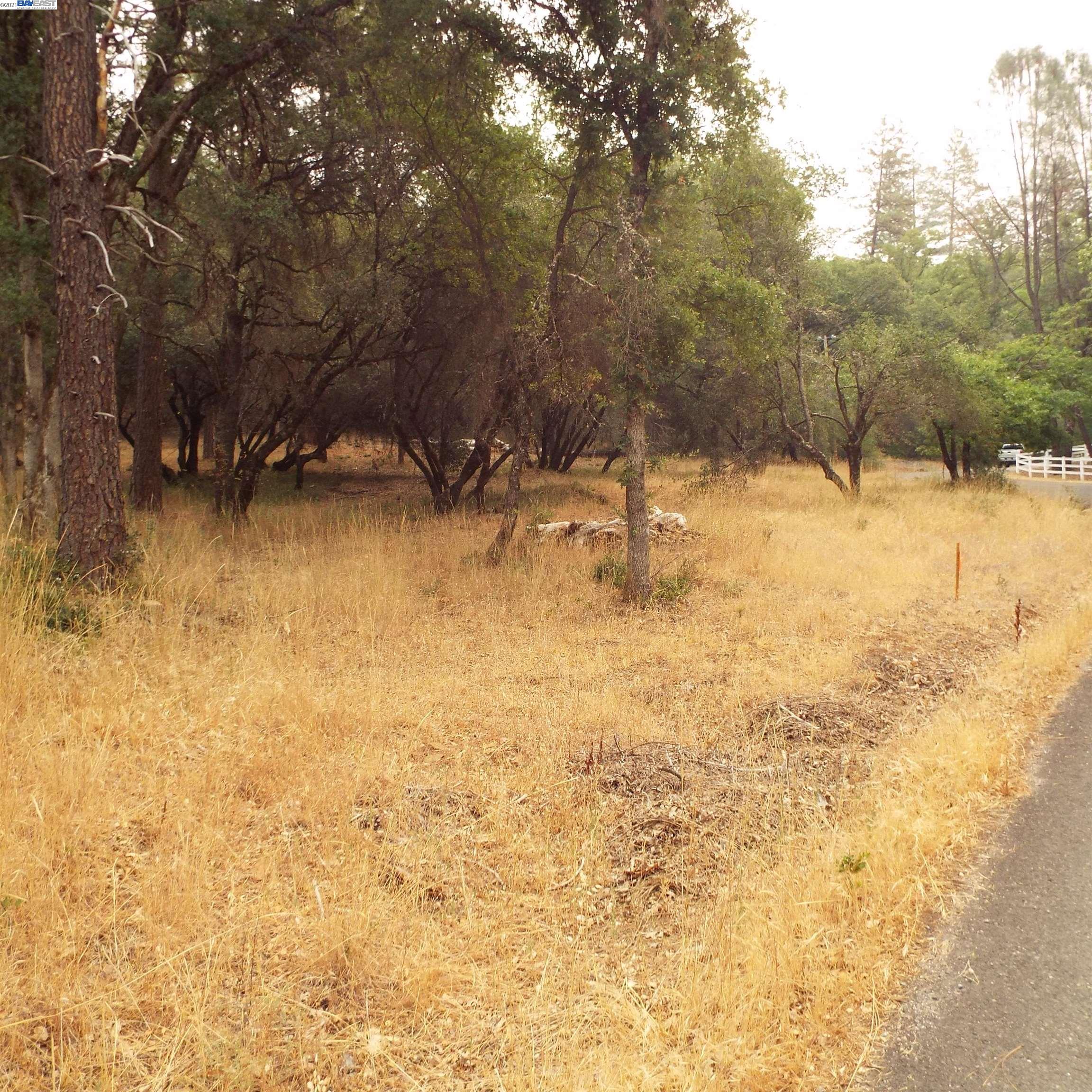 19750 Tiger Tail Road, GRASS VALLEY, California 95949, ,Lots And Land,For Sale,Tiger Tail Road,40969335