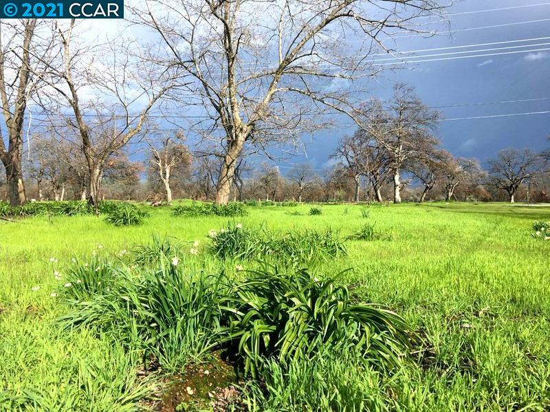 605 Quartz Hill Rd, REDDING, California 96003, ,Lots And Land,For Sale,Quartz Hill Rd,40970081