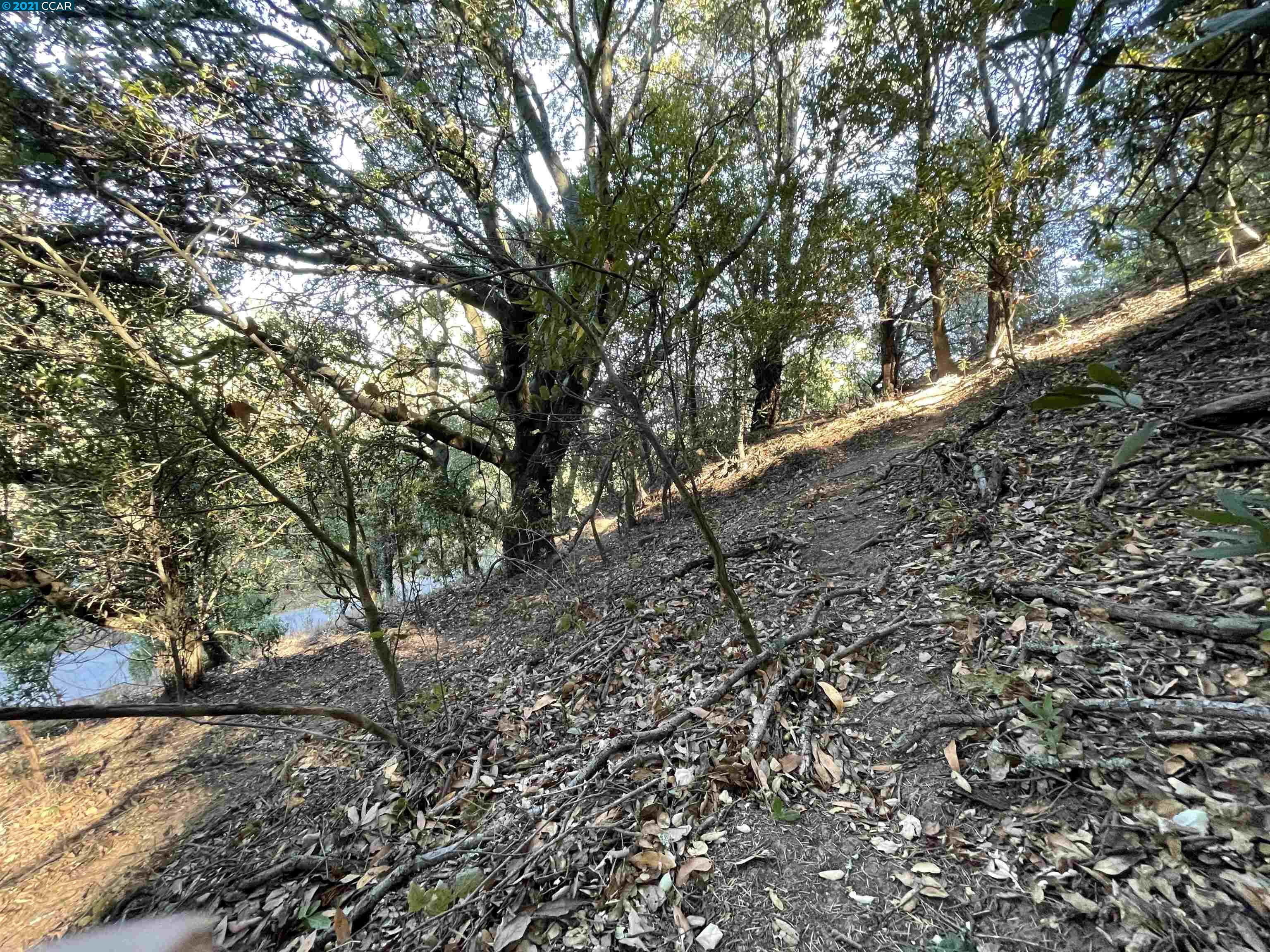 15 Alta Vista Dr, ORINDA, California 94563, ,Lots And Land,For Sale,Alta Vista Dr,40970114