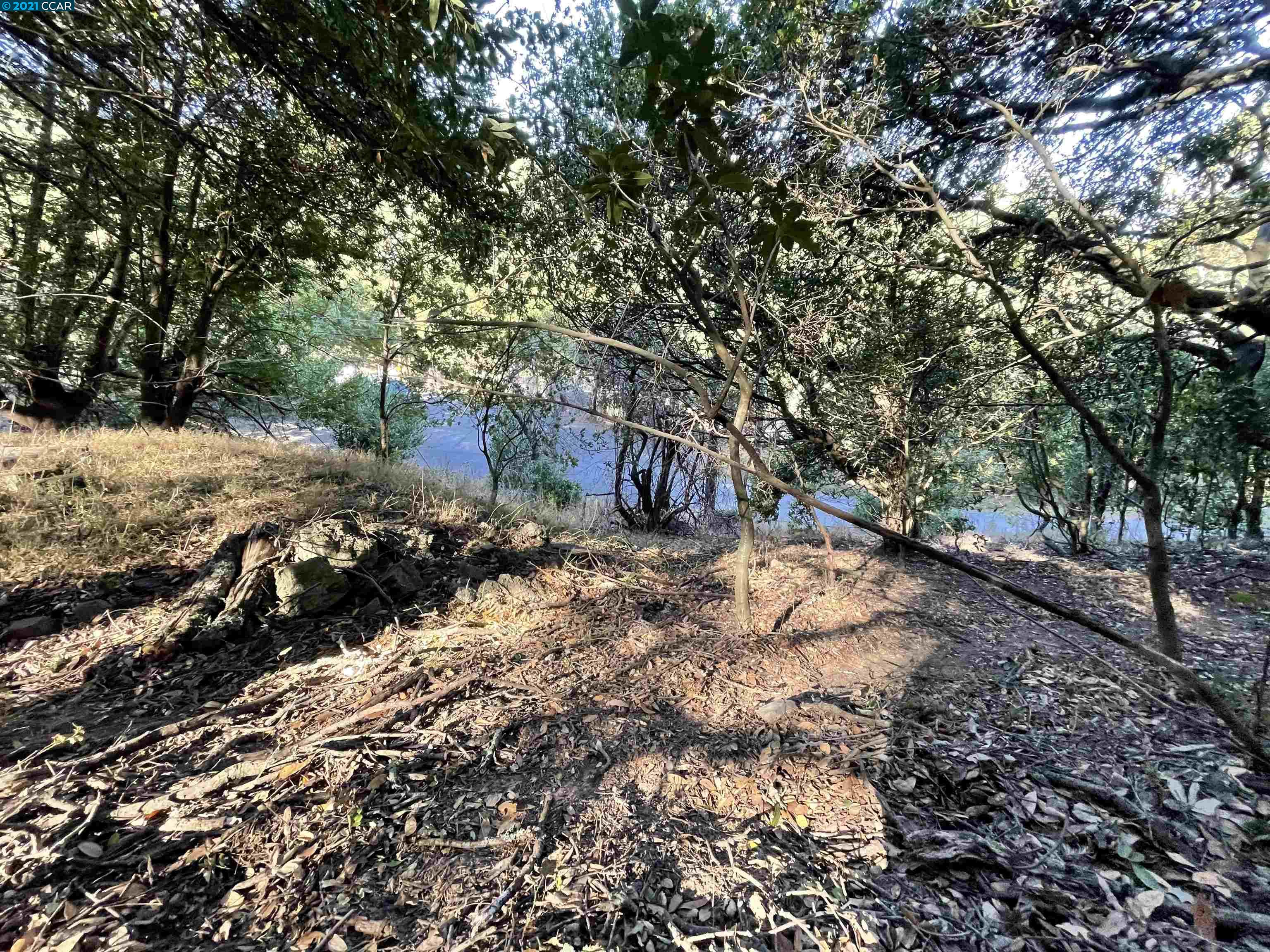 15 Alta Vista Dr, ORINDA, California 94563, ,Lots And Land,For Sale,Alta Vista Dr,40970114