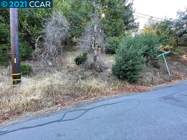15 Alta Vista Dr, ORINDA, California 94563, ,Lots And Land,For Sale,Alta Vista Dr,40970114
