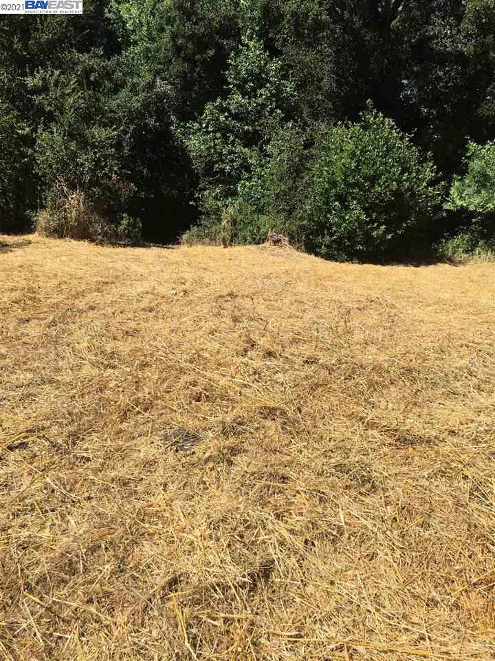 6 Boardwalk Place, SAN RAMON, California 94583, ,Comm Lots And Land,For Sale,Boardwalk Place,40970789
