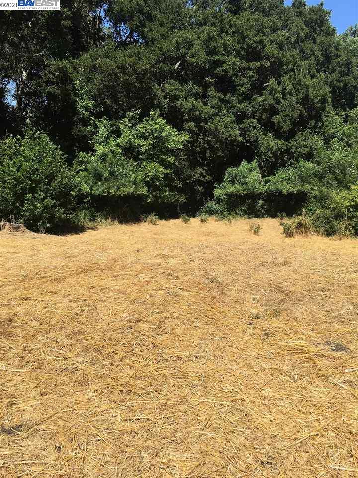 6 Boardwalk Place, SAN RAMON, California 94583, ,Comm Lots And Land,For Sale,Boardwalk Place,40970789