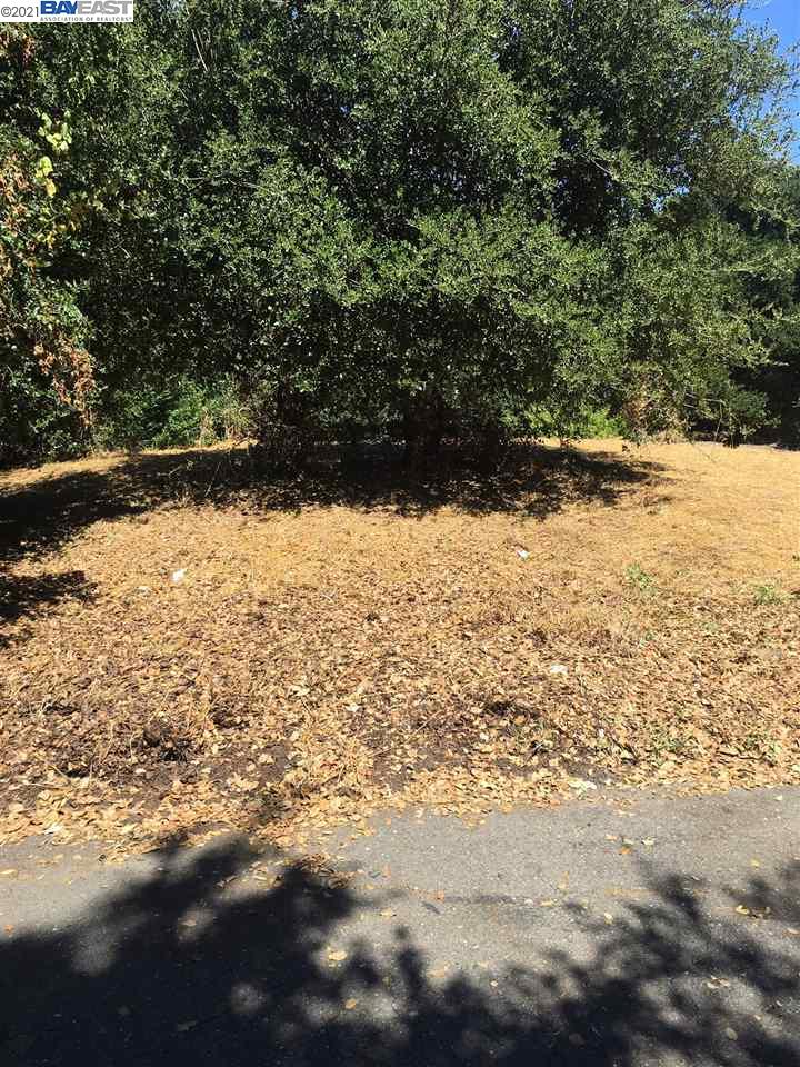 6 Boardwalk Place, SAN RAMON, California 94583, ,Comm Lots And Land,For Sale,Boardwalk Place,40970789