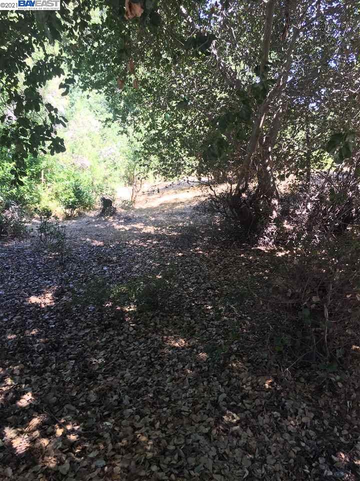 6 Boardwalk Place, SAN RAMON, California 94583, ,Comm Lots And Land,For Sale,Boardwalk Place,40970789