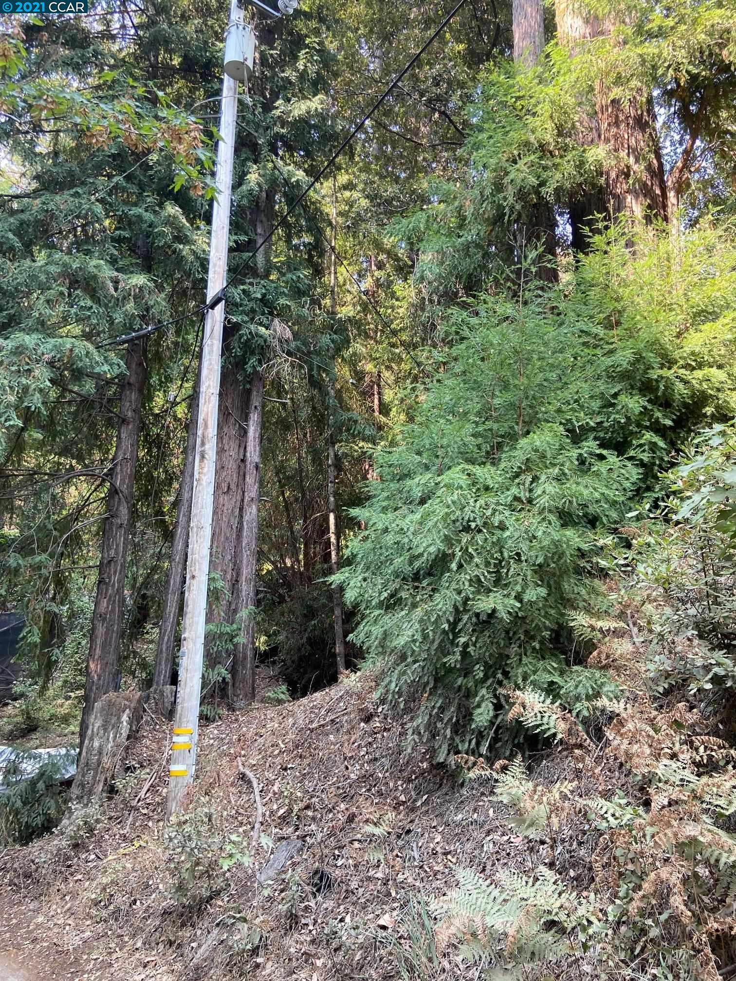 0 Starr Creek Road, BOULDER CREEK, California 95006, ,Lots And Land,For Sale,Starr Creek Road,40971233