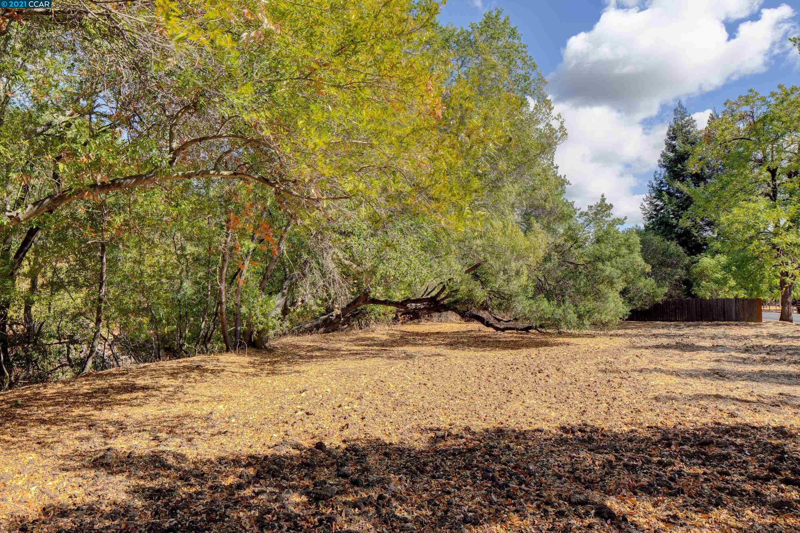 000 Alhambra Valley Road, MARTINEZ, California 94553, ,Lots And Land,For Sale,Alhambra Valley Road,40971927