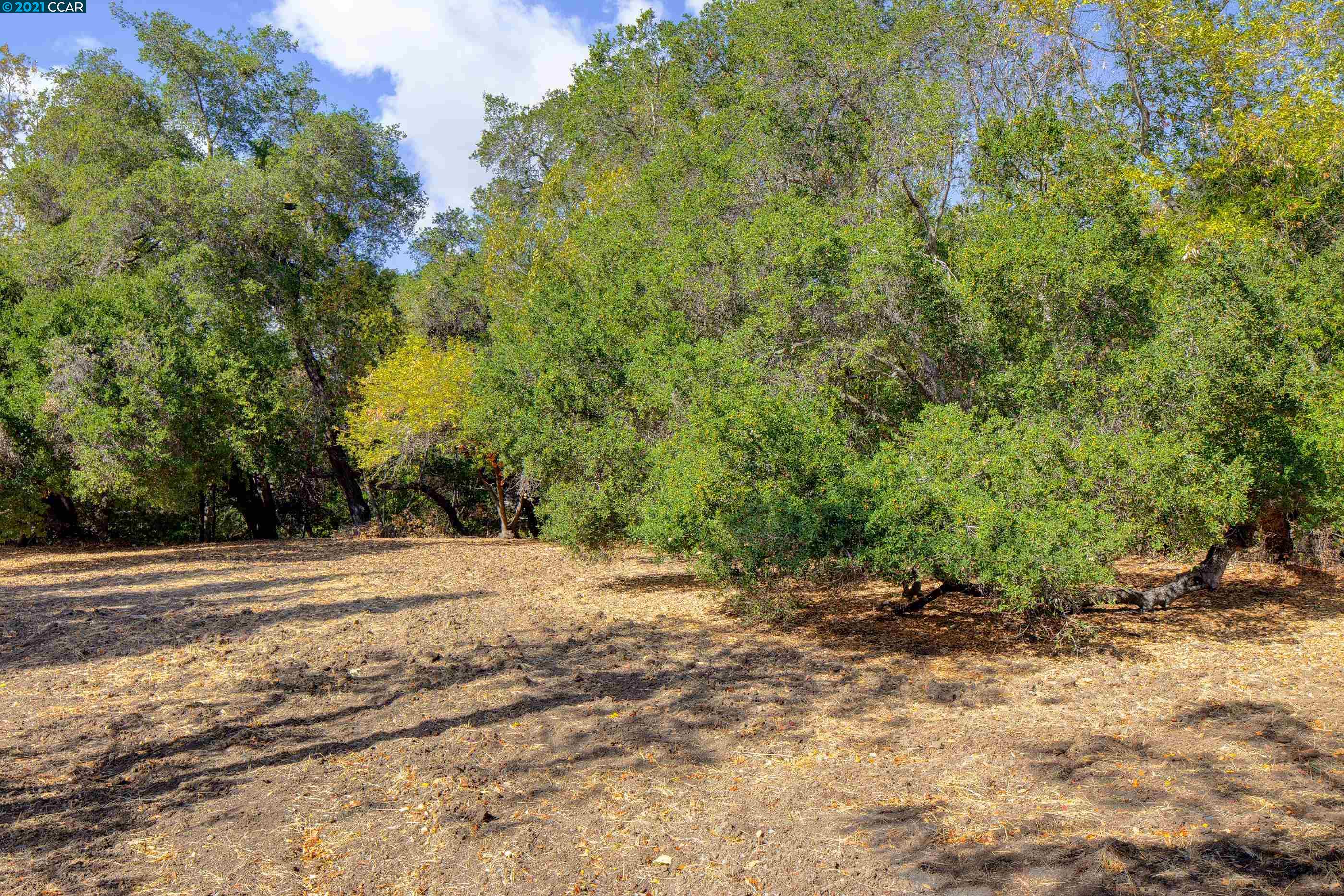 000 Alhambra Valley Road, MARTINEZ, California 94553, ,Lots And Land,For Sale,Alhambra Valley Road,40971927
