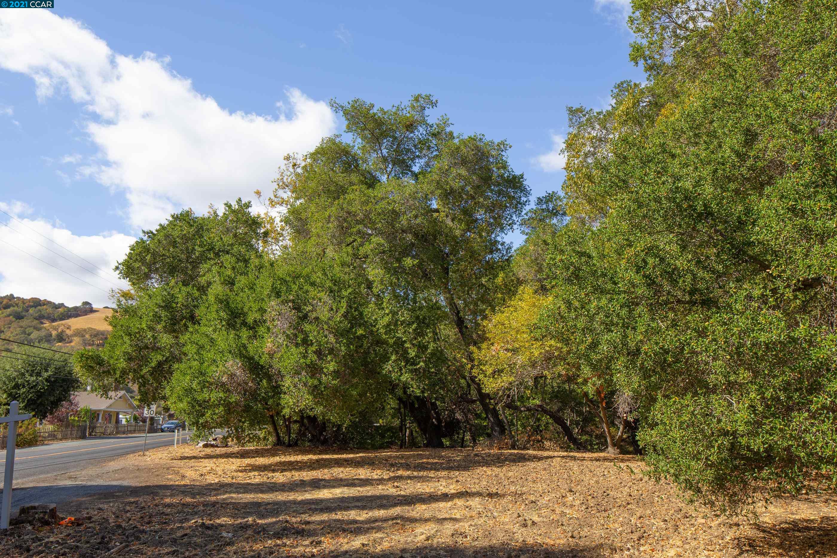 000 Alhambra Valley Road, MARTINEZ, California 94553, ,Lots And Land,For Sale,Alhambra Valley Road,40971927
