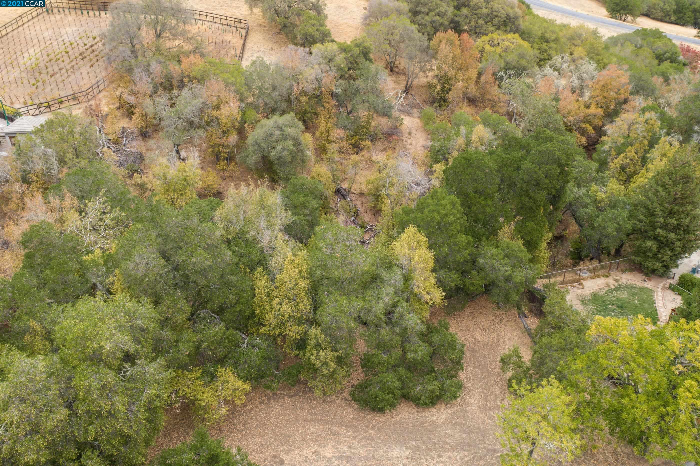 000 Alhambra Valley Road, MARTINEZ, California 94553, ,Lots And Land,For Sale,Alhambra Valley Road,40971927