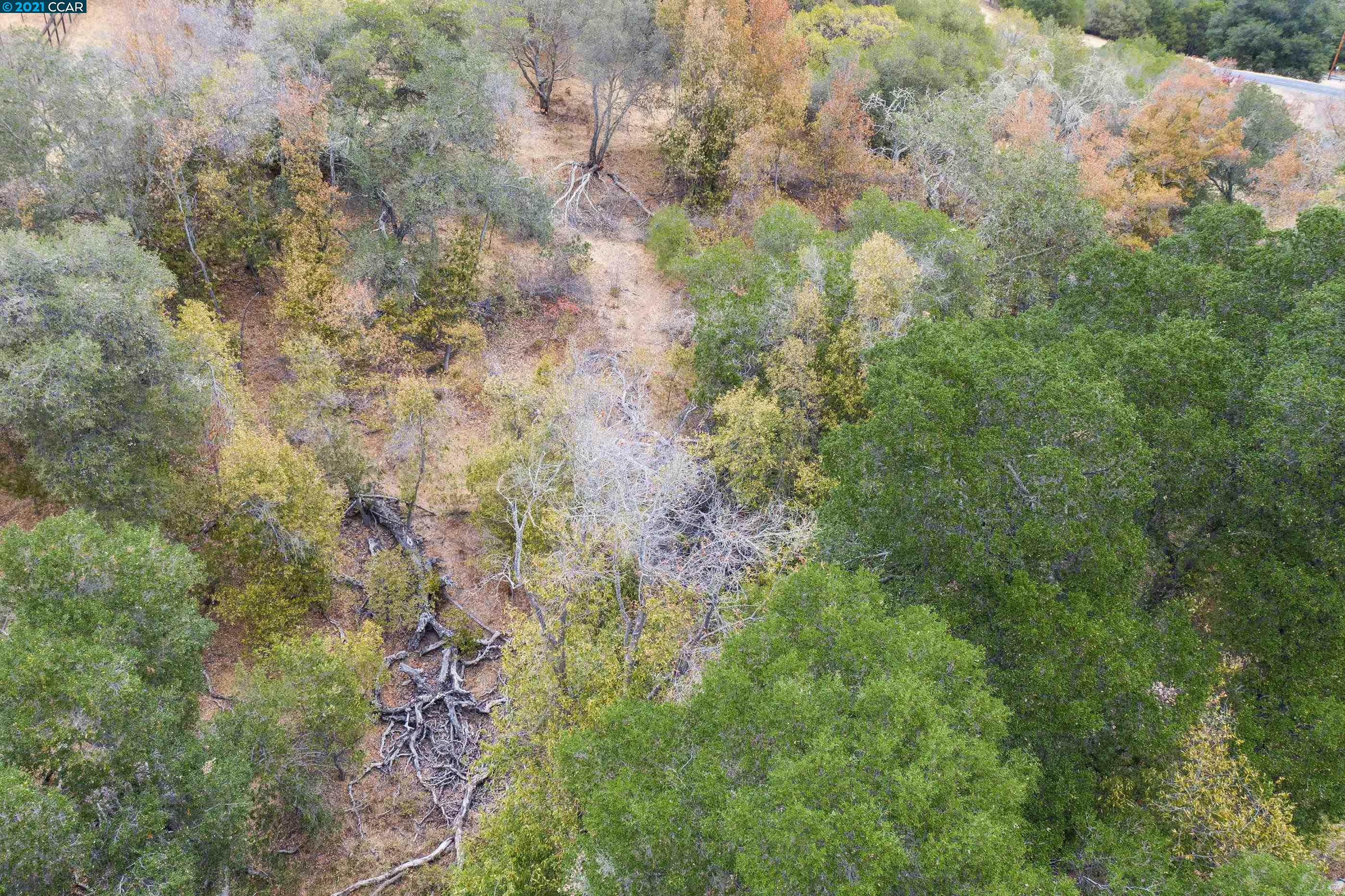 000 Alhambra Valley Road, MARTINEZ, California 94553, ,Lots And Land,For Sale,Alhambra Valley Road,40971927
