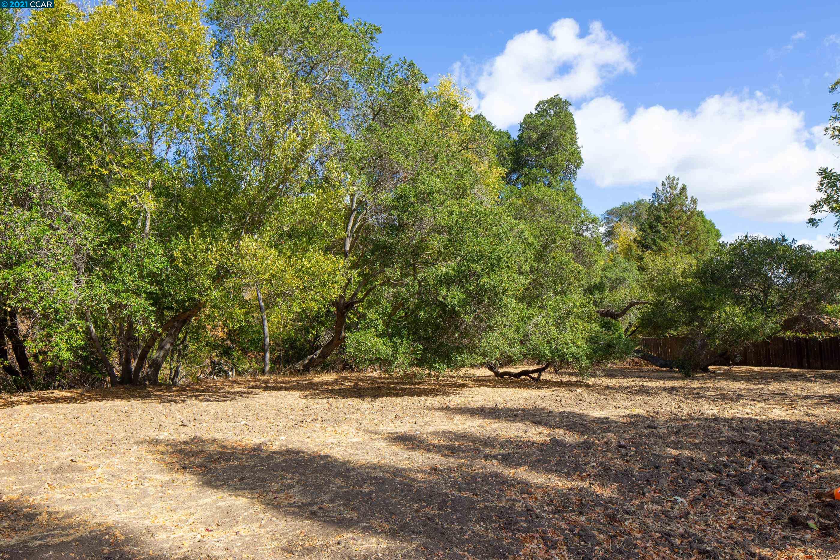 000 Alhambra Valley Road, MARTINEZ, California 94553, ,Lots And Land,For Sale,Alhambra Valley Road,40971927