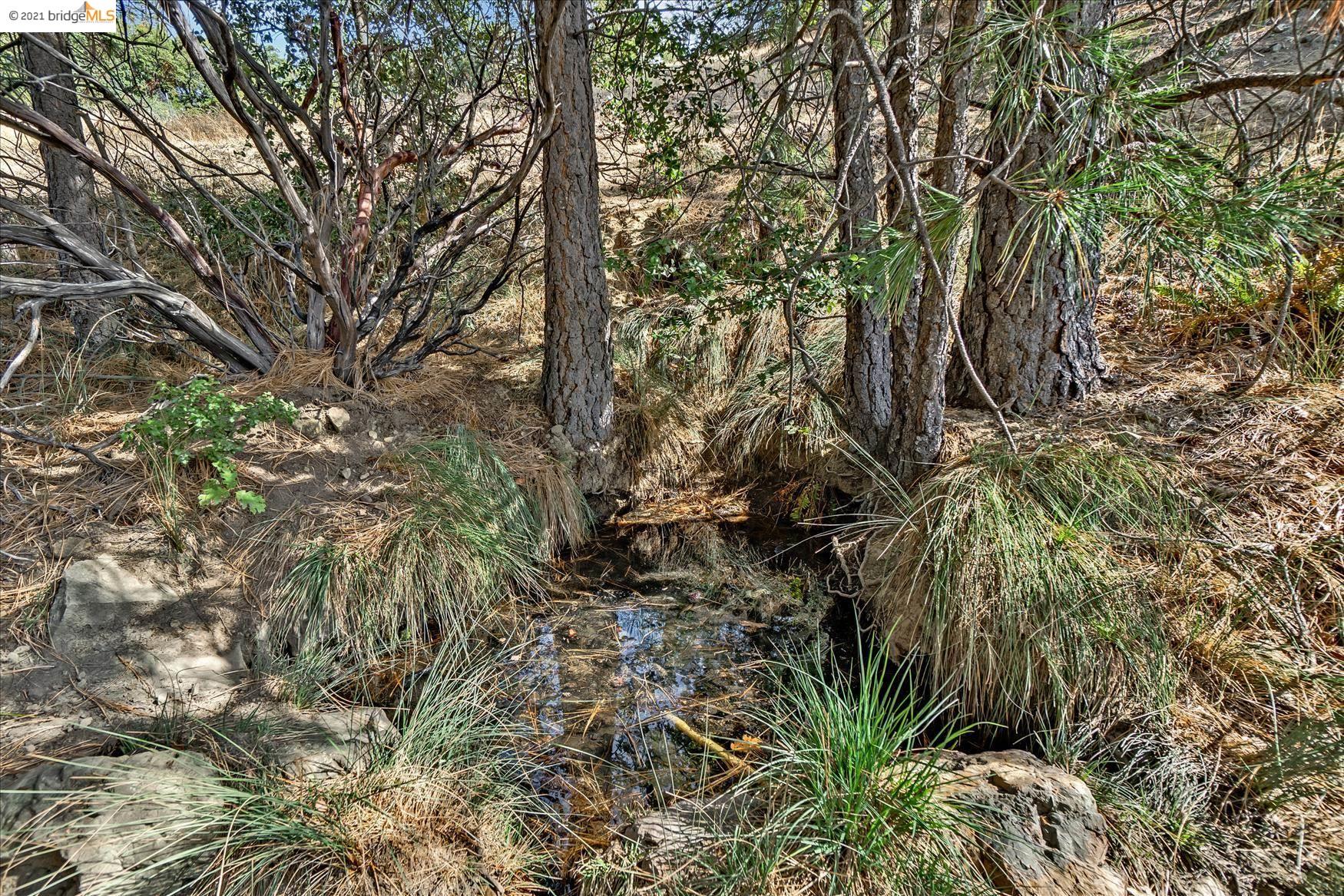 4251 Spyrock Rd, LAYTONVILLE, California 95454, ,Lots And Land,For Sale,Spyrock Rd,40971604