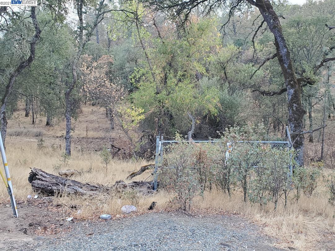 0 Lower Wyandotte Rd, OROVILLE, California 95966, ,Lots And Land,For Sale,Lower Wyandotte Rd,40972714