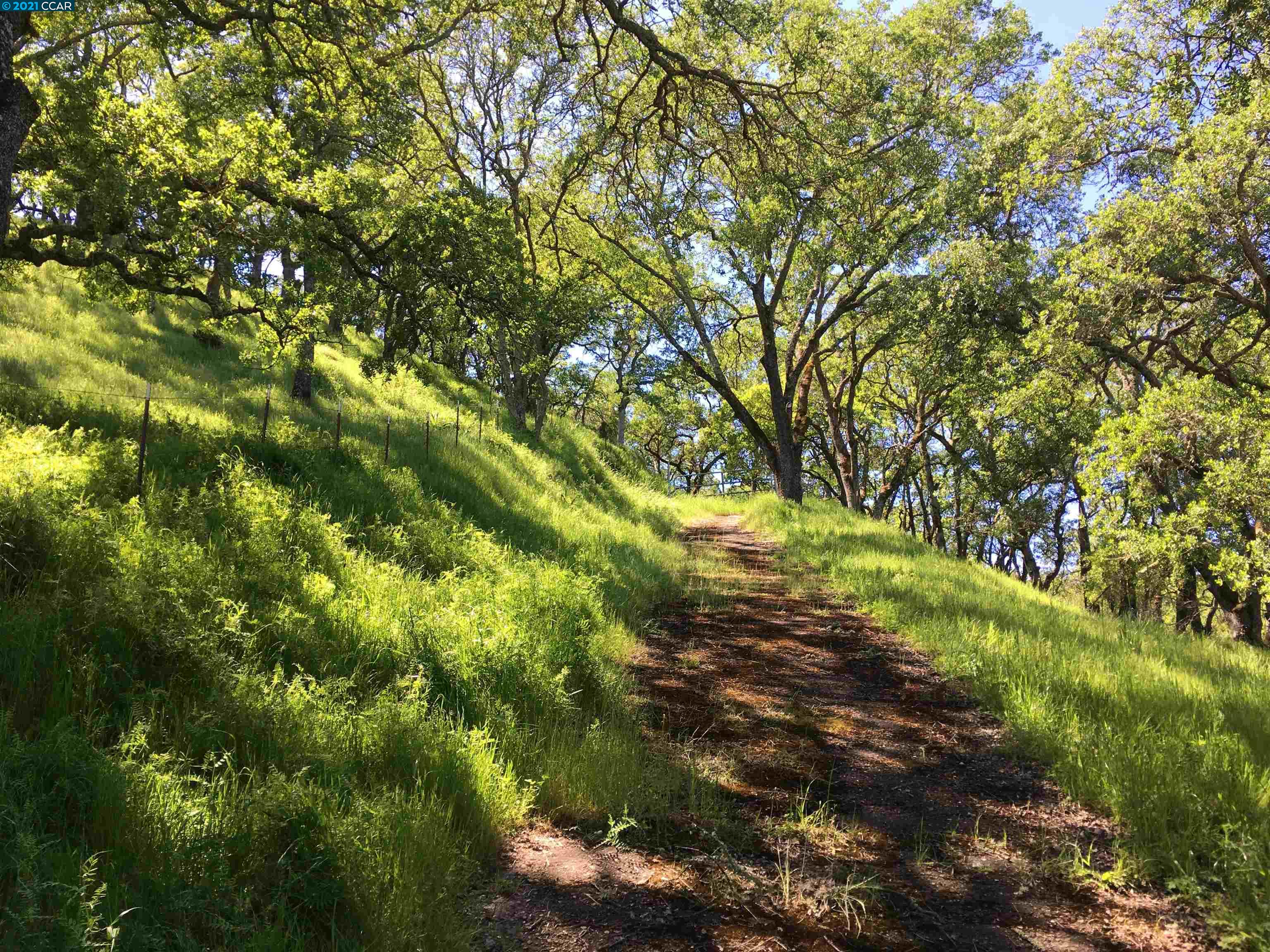 283 Castle Hill Ranch Rd, WALNUT CREEK, California 94595, ,Lots And Land,For Sale,Castle Hill Ranch Rd,40972363