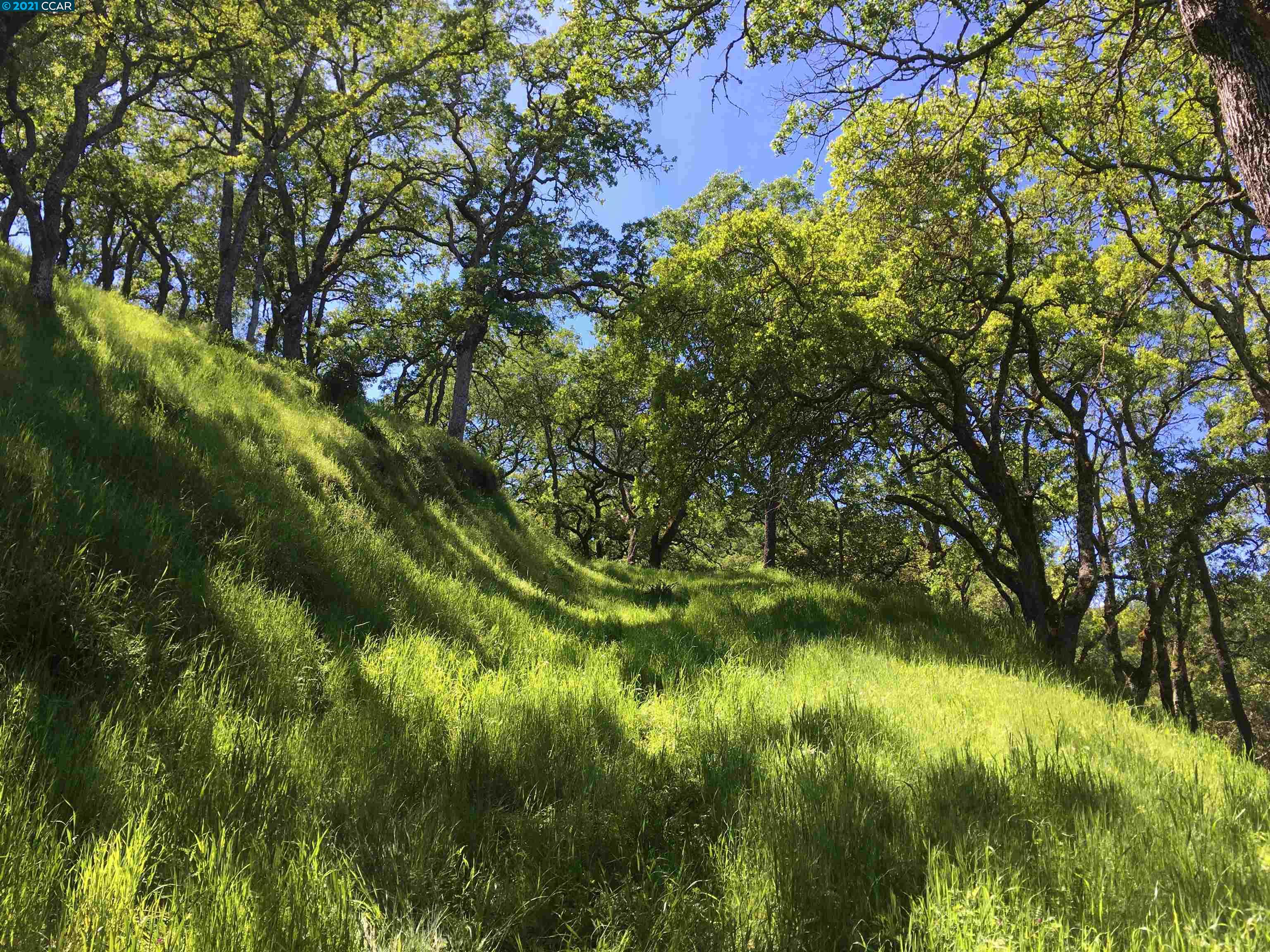 283 Castle Hill Ranch Rd, WALNUT CREEK, California 94595, ,Lots And Land,For Sale,Castle Hill Ranch Rd,40972363