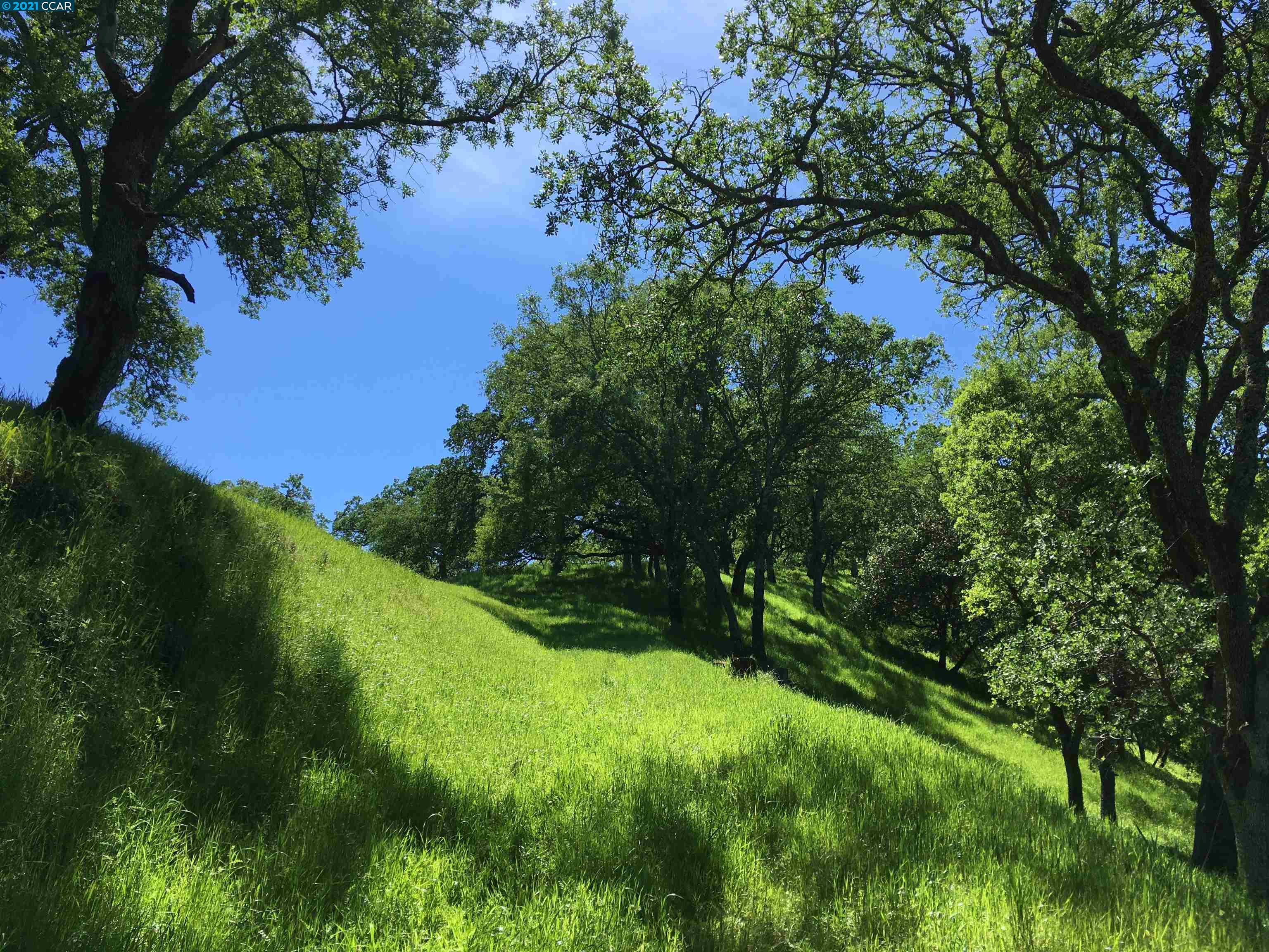 283 Castle Hill Ranch Rd, WALNUT CREEK, California 94595, ,Lots And Land,For Sale,Castle Hill Ranch Rd,40972363