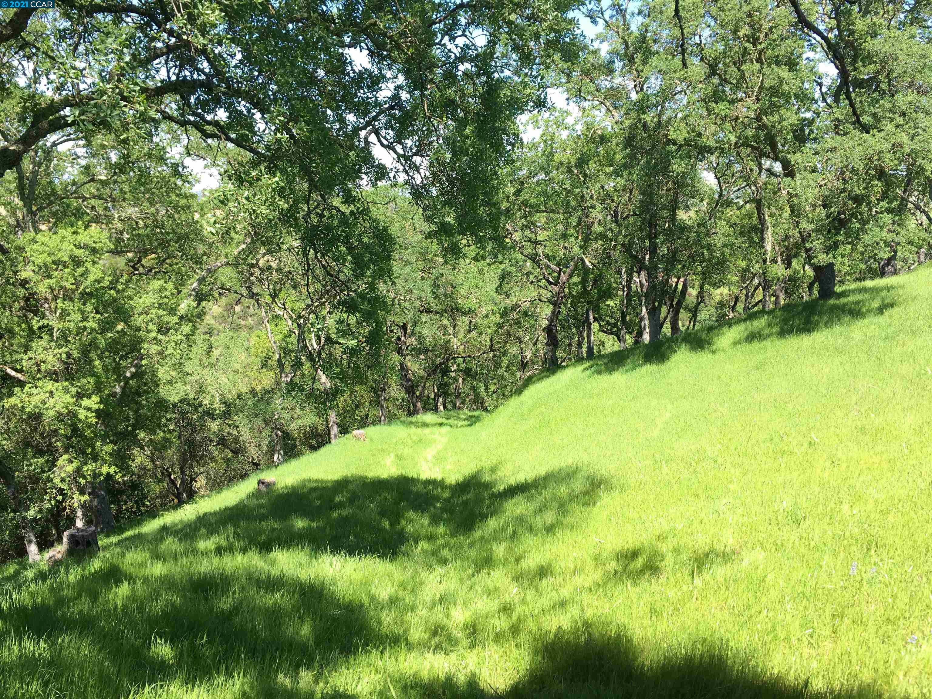 283 Castle Hill Ranch Rd, WALNUT CREEK, California 94595, ,Lots And Land,For Sale,Castle Hill Ranch Rd,40972363