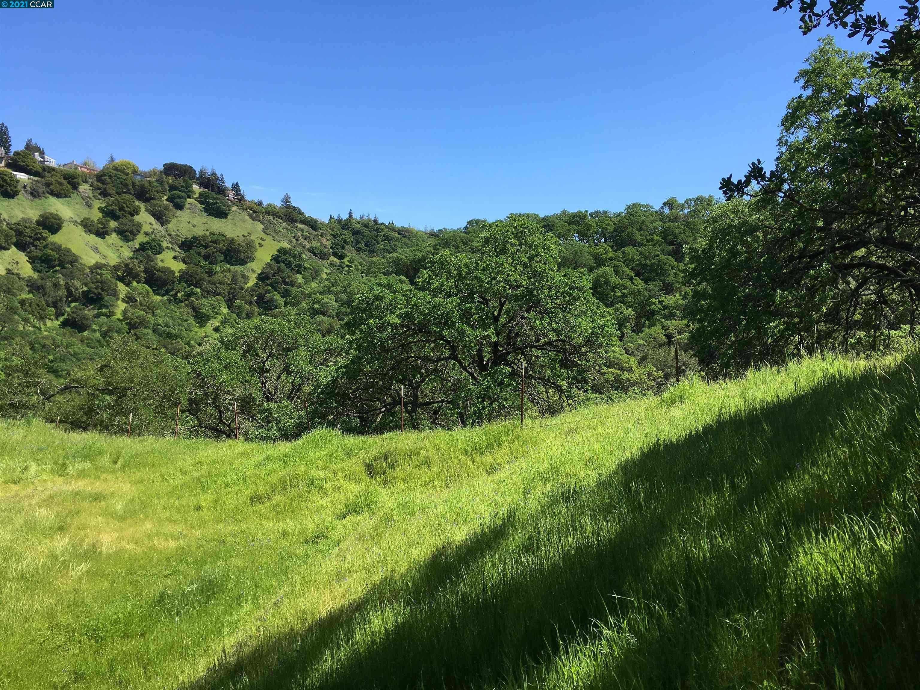 283 Castle Hill Ranch Rd, WALNUT CREEK, California 94595, ,Lots And Land,For Sale,Castle Hill Ranch Rd,40972363