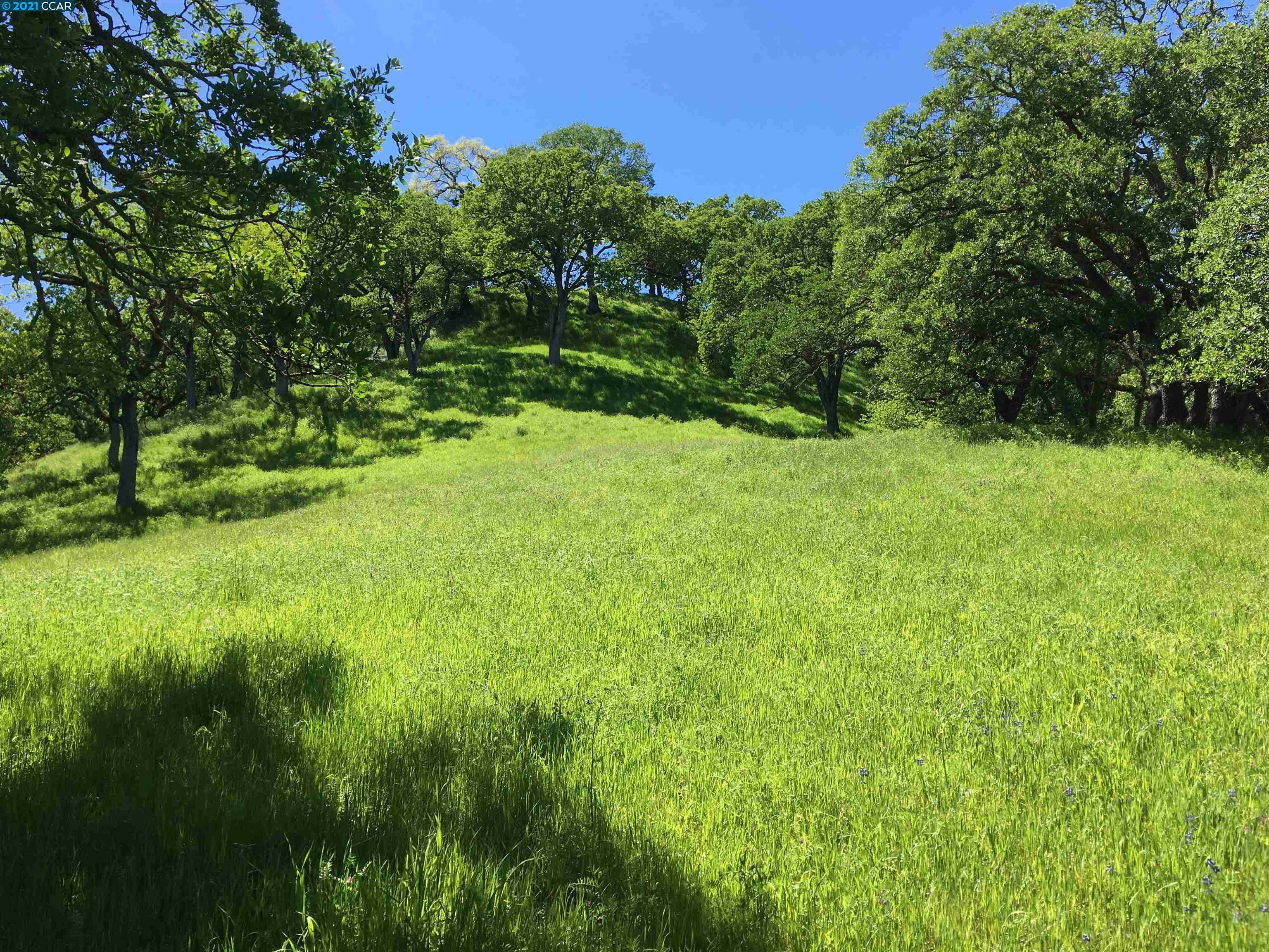283 Castle Hill Ranch Rd, WALNUT CREEK, California 94595, ,Lots And Land,For Sale,Castle Hill Ranch Rd,40972363
