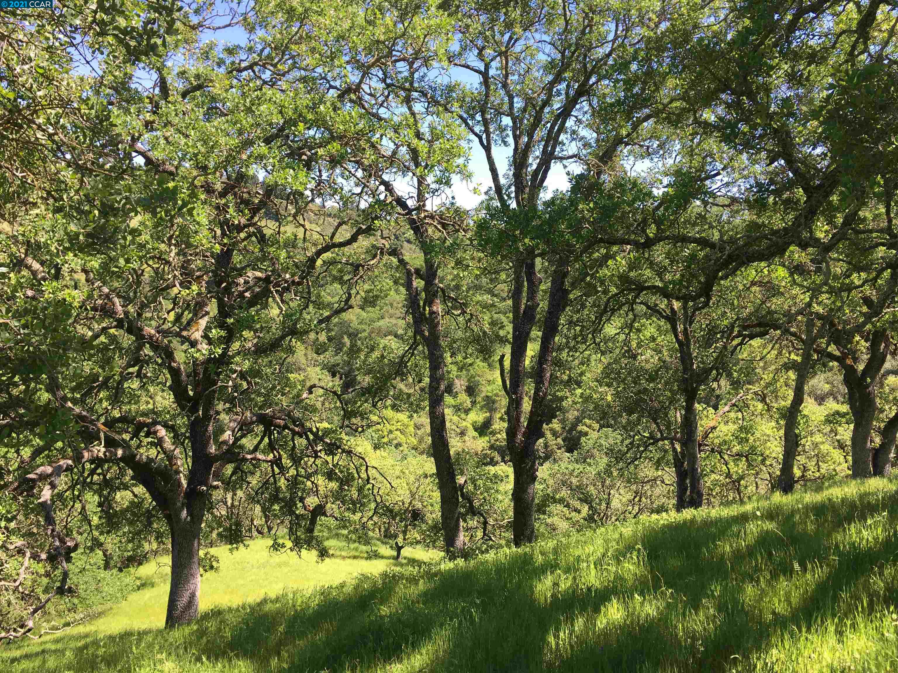 283 Castle Hill Ranch Rd, WALNUT CREEK, California 94595, ,Lots And Land,For Sale,Castle Hill Ranch Rd,40972363