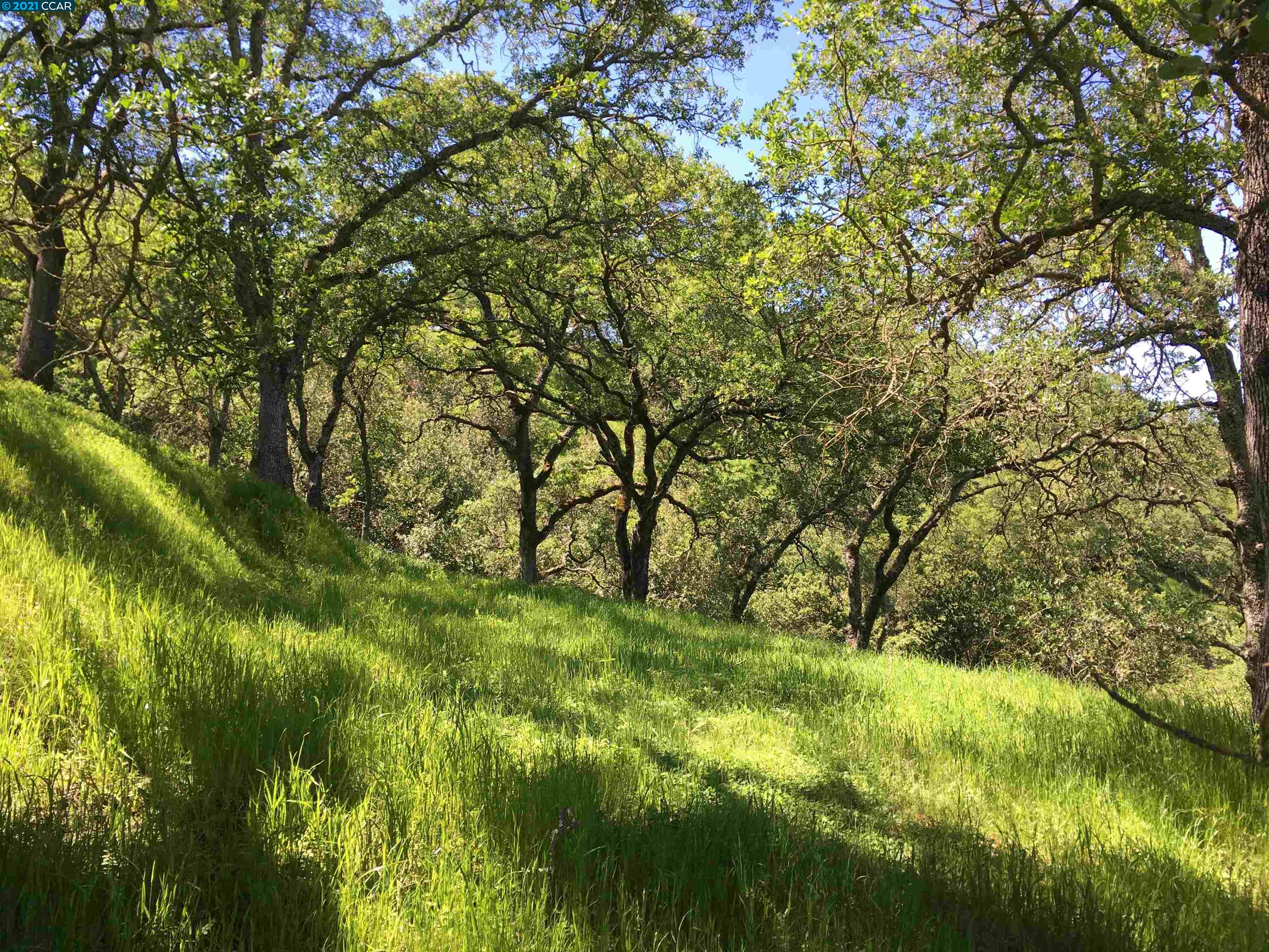 283 Castle Hill Ranch Rd, WALNUT CREEK, California 94595, ,Lots And Land,For Sale,Castle Hill Ranch Rd,40972363