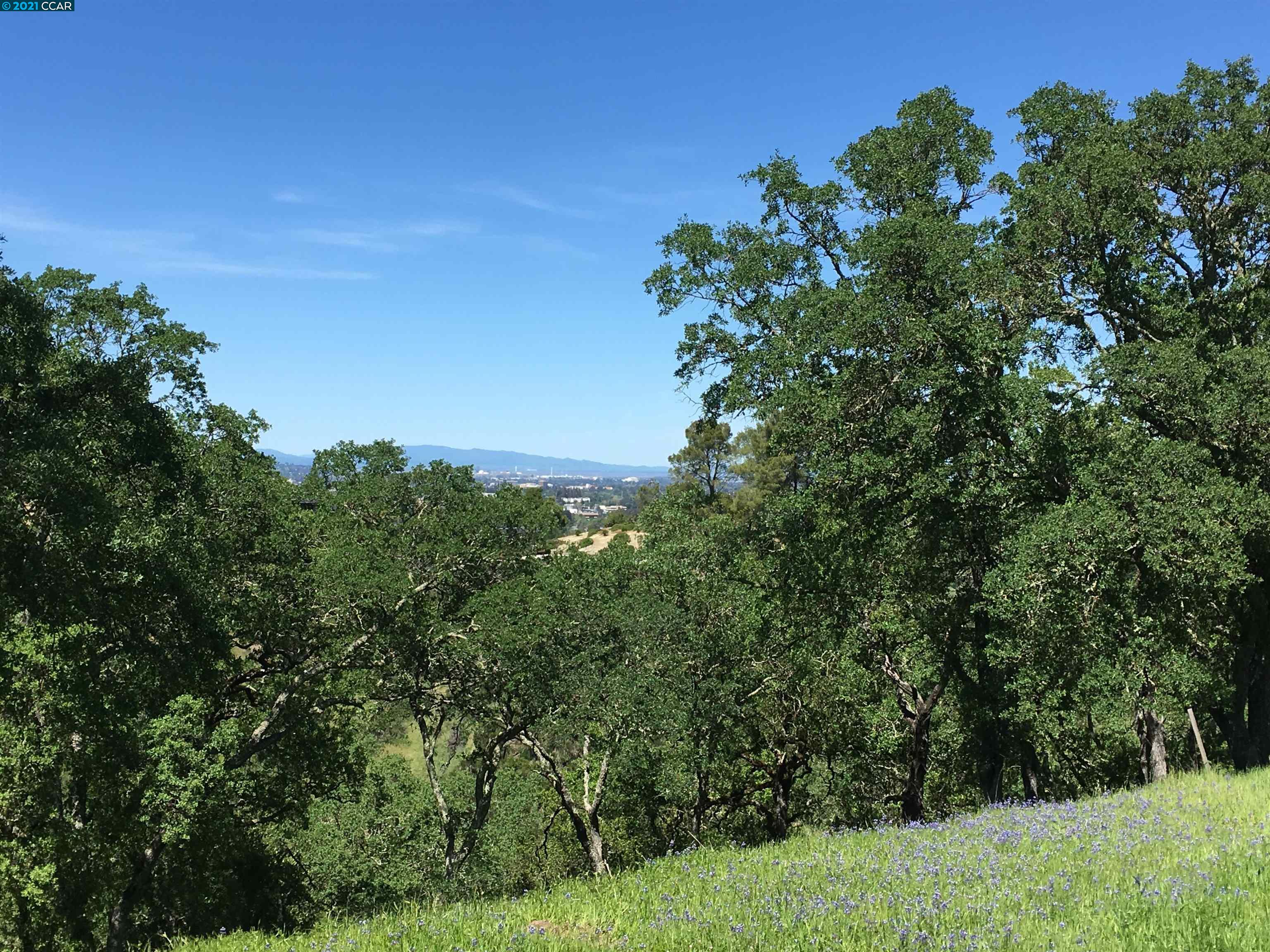283 Castle Hill Ranch Rd, WALNUT CREEK, California 94595, ,Lots And Land,For Sale,Castle Hill Ranch Rd,40972363