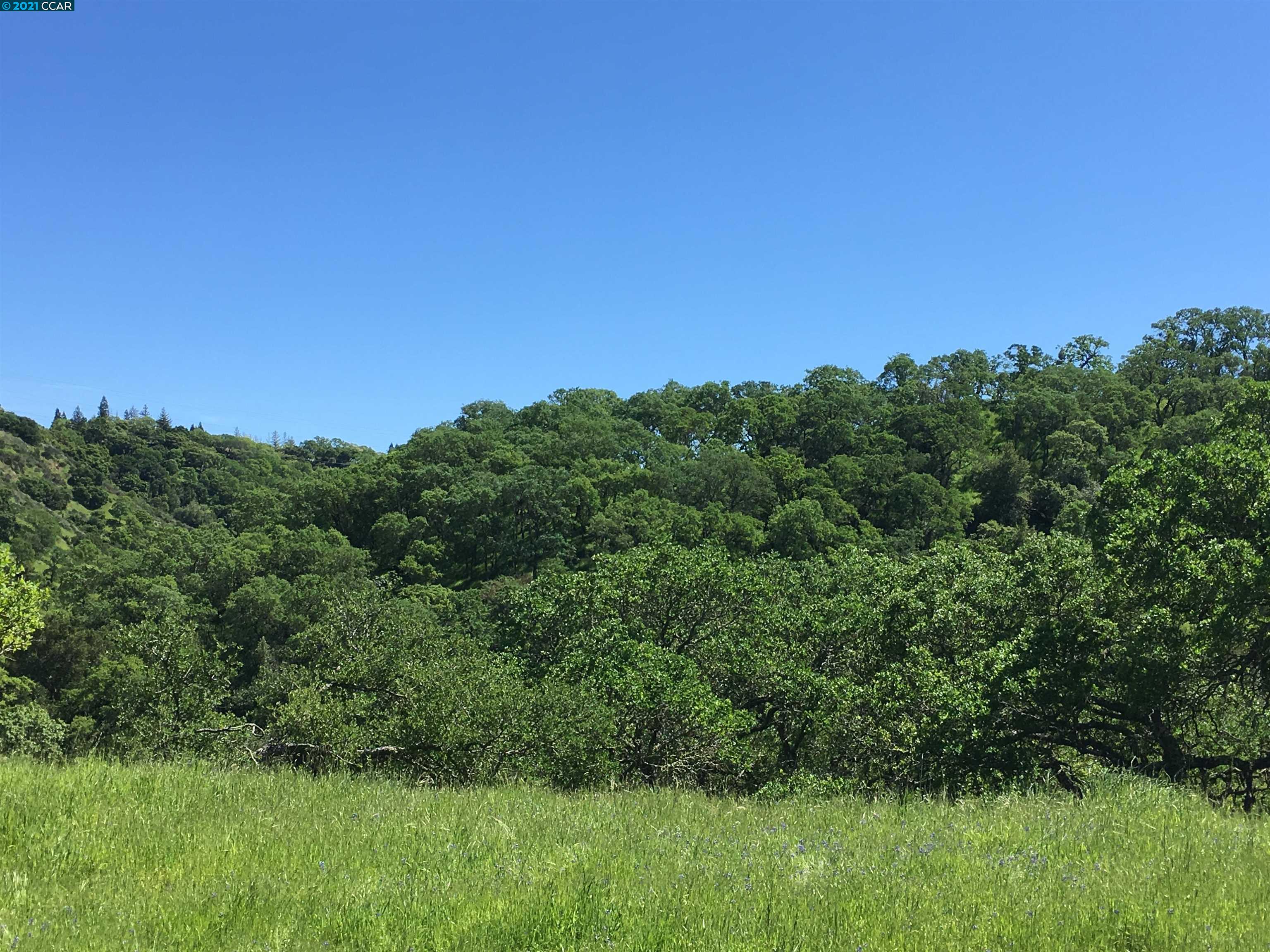 283 Castle Hill Ranch Rd, WALNUT CREEK, California 94595, ,Lots And Land,For Sale,Castle Hill Ranch Rd,40972363