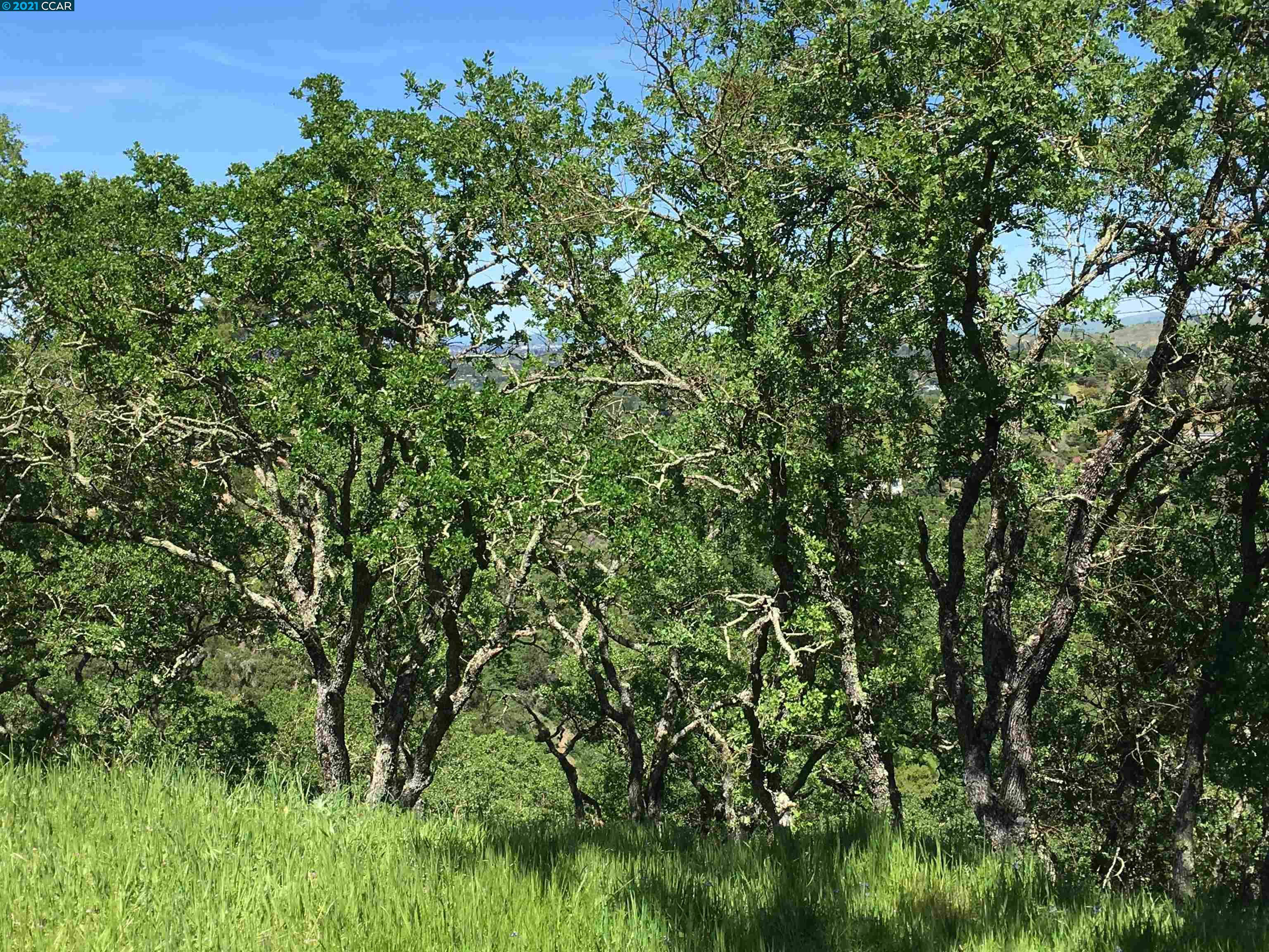 283 Castle Hill Ranch Rd, WALNUT CREEK, California 94595, ,Lots And Land,For Sale,Castle Hill Ranch Rd,40972363